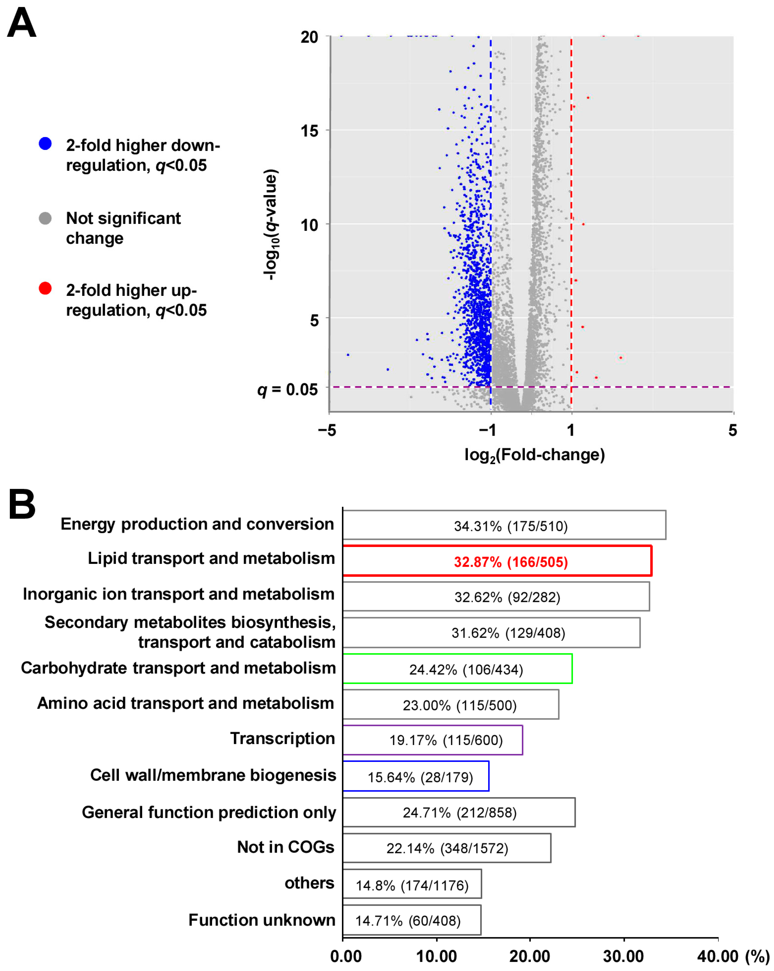 Ijms 24 07086 g003 Ijms 24 07086 g003