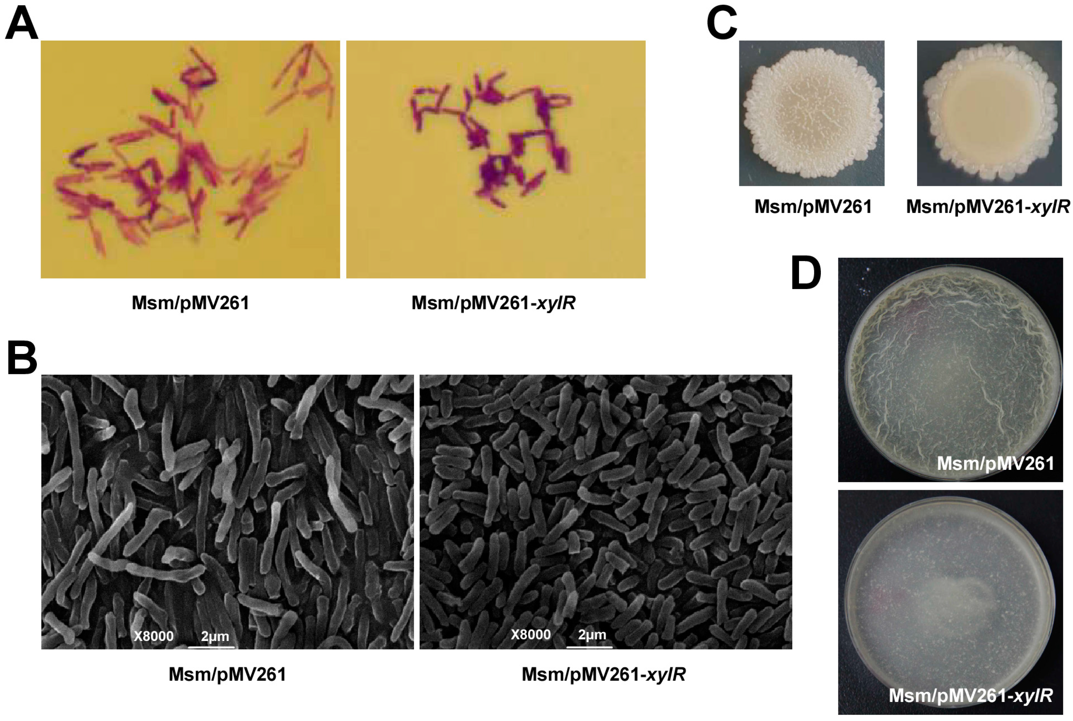 Ijms 24 07086 g005 Ijms 24 07086 g005