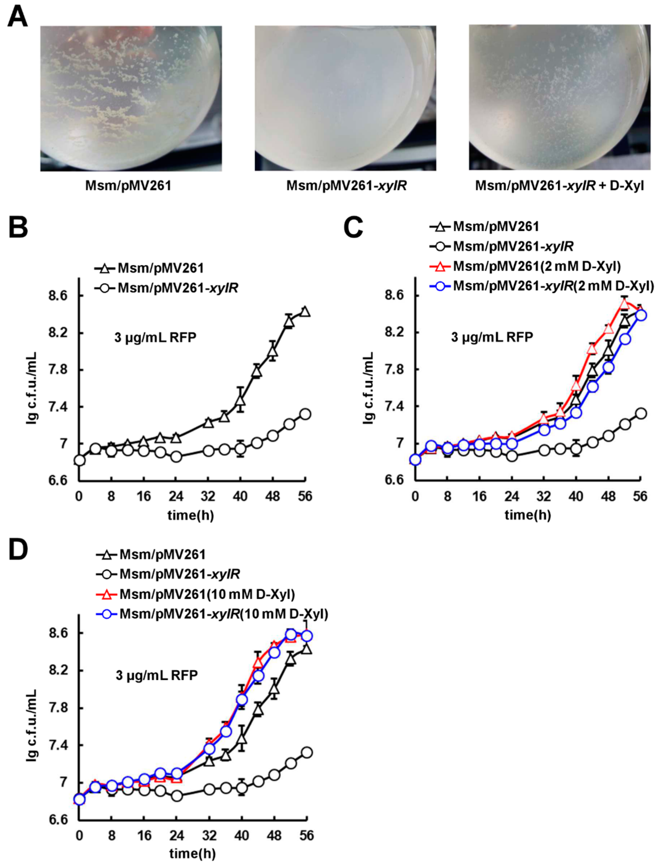 Ijms 24 07086 g007 Ijms 24 07086 g007