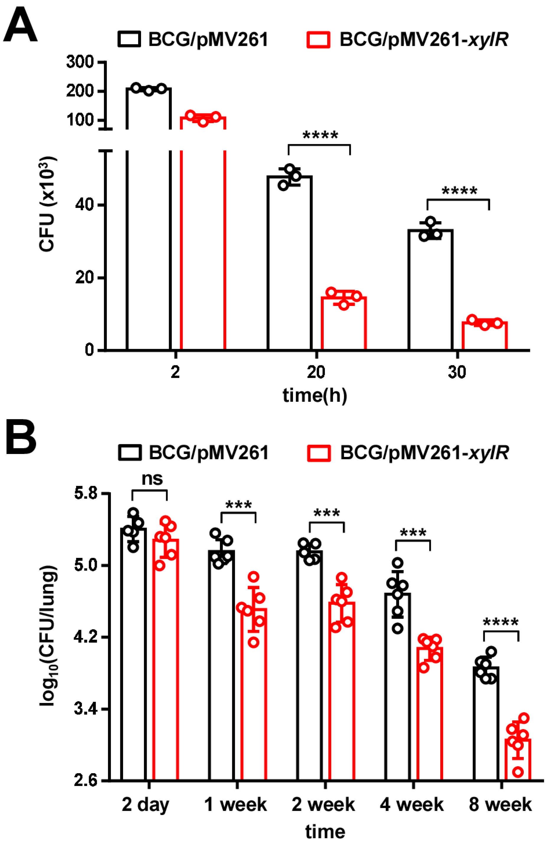 Ijms 24 07086 g008 Ijms 24 07086 g008