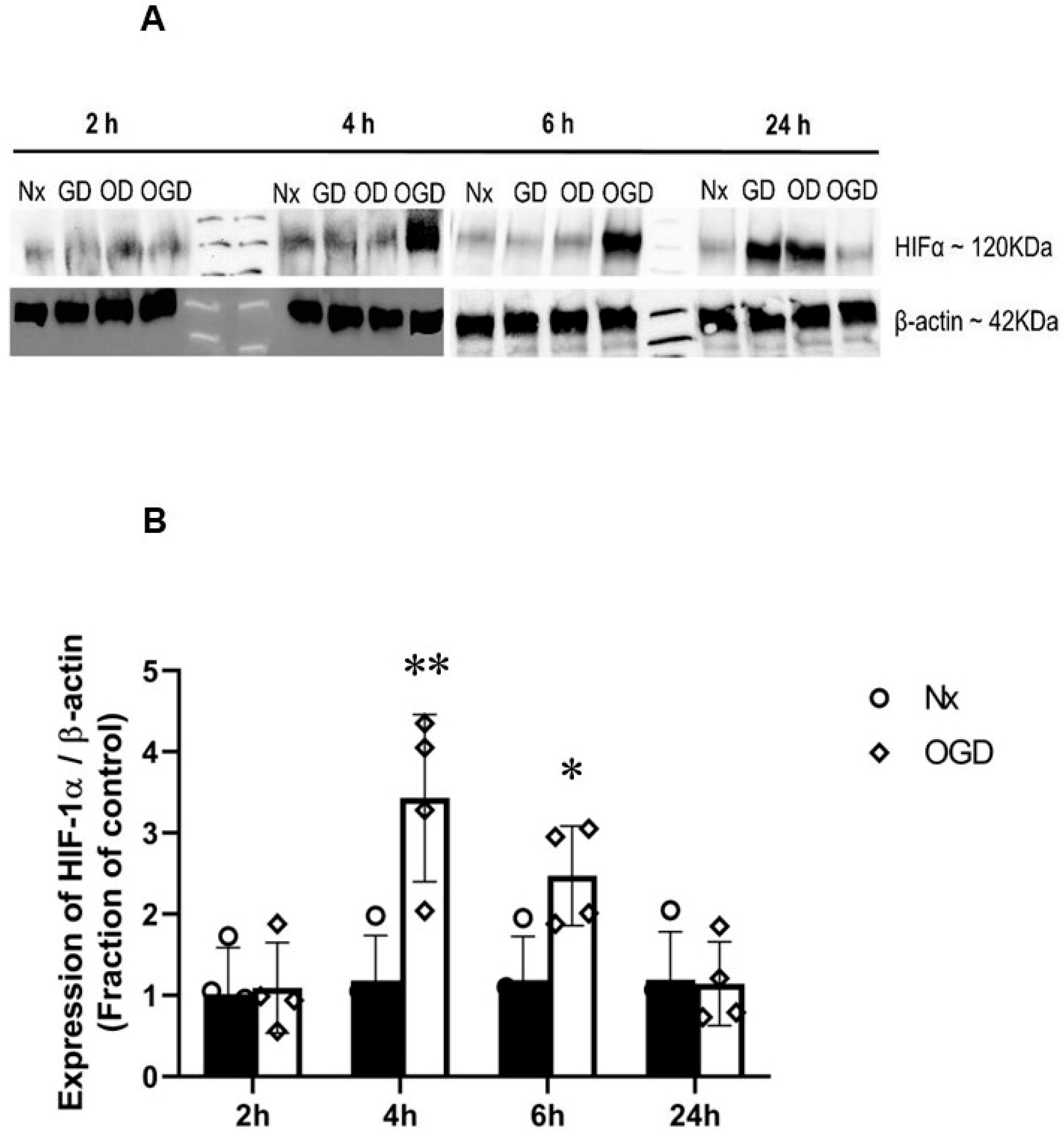 Ijms 24 07106 g004 Ijms 24 07106 g004