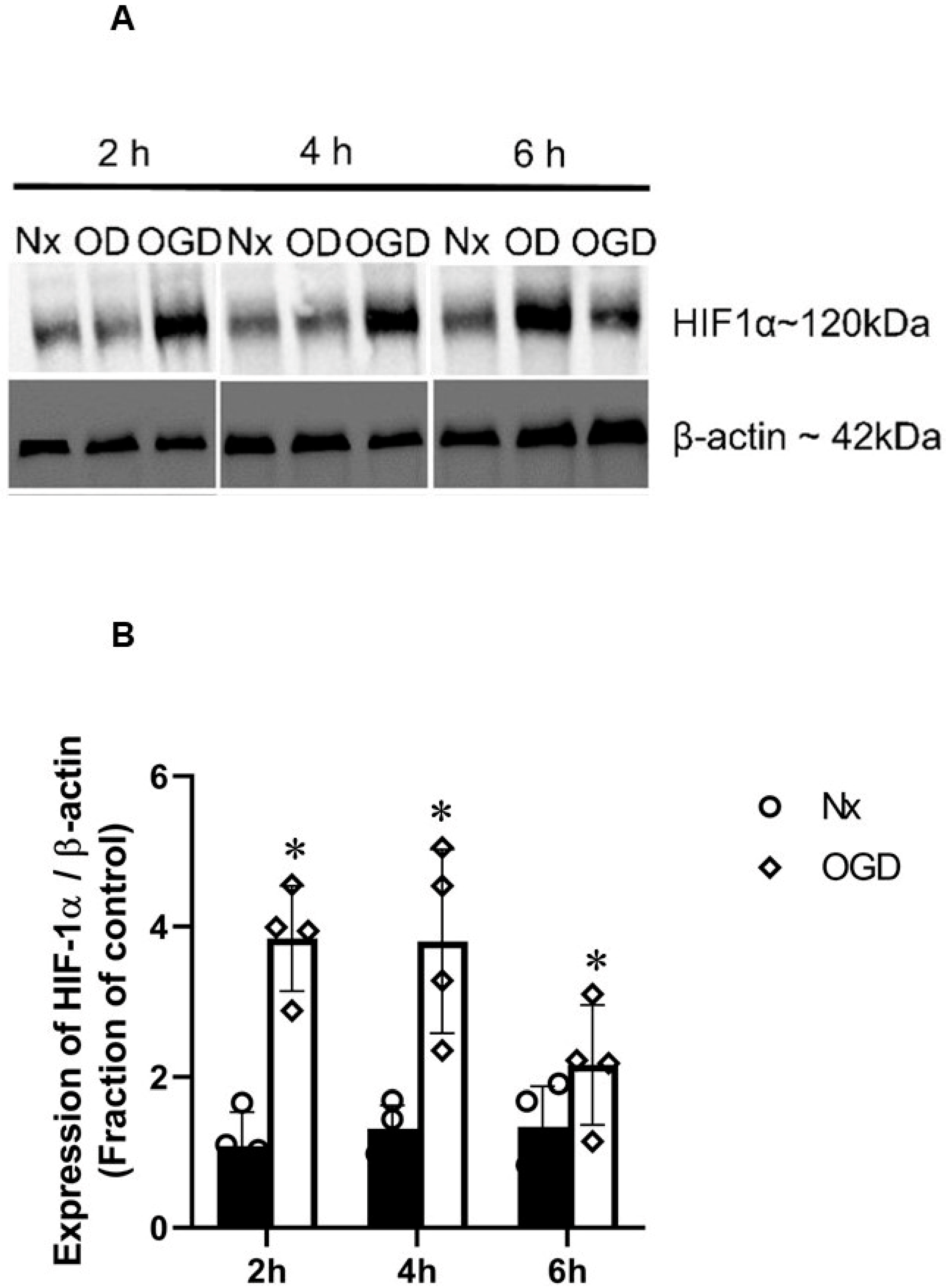Ijms 24 07106 g009 Ijms 24 07106 g009