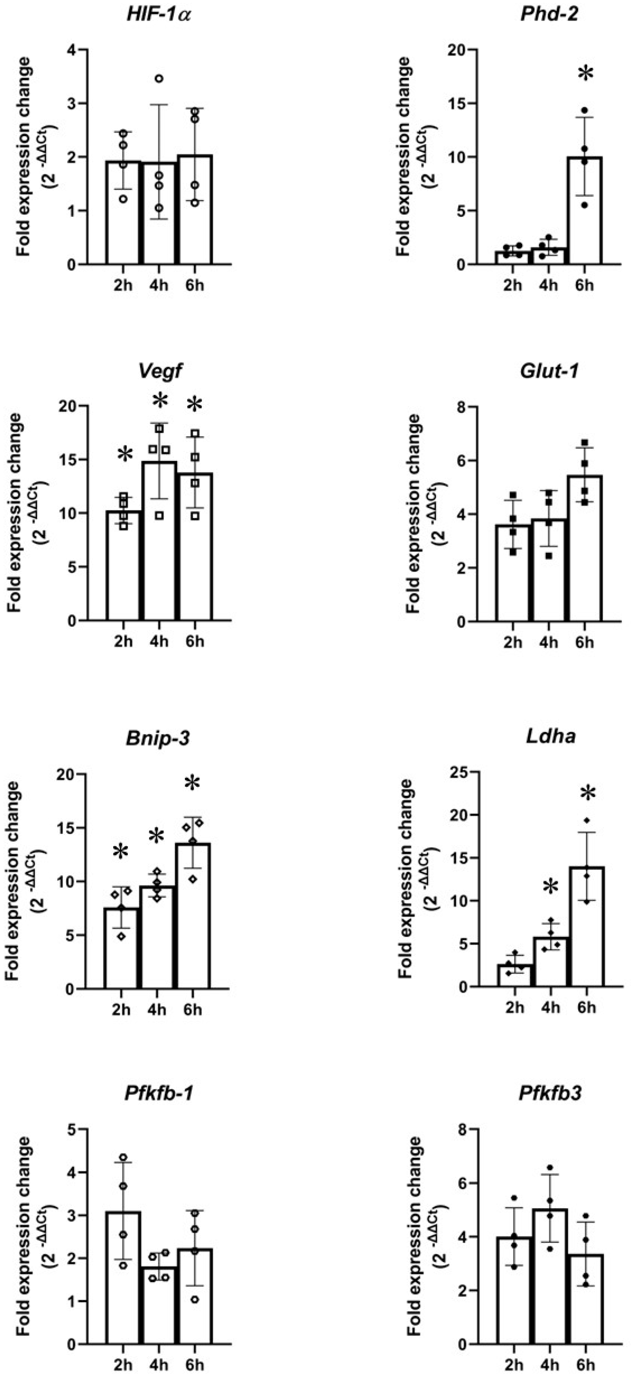 Ijms 24 07106 g010 Ijms 24 07106 g010