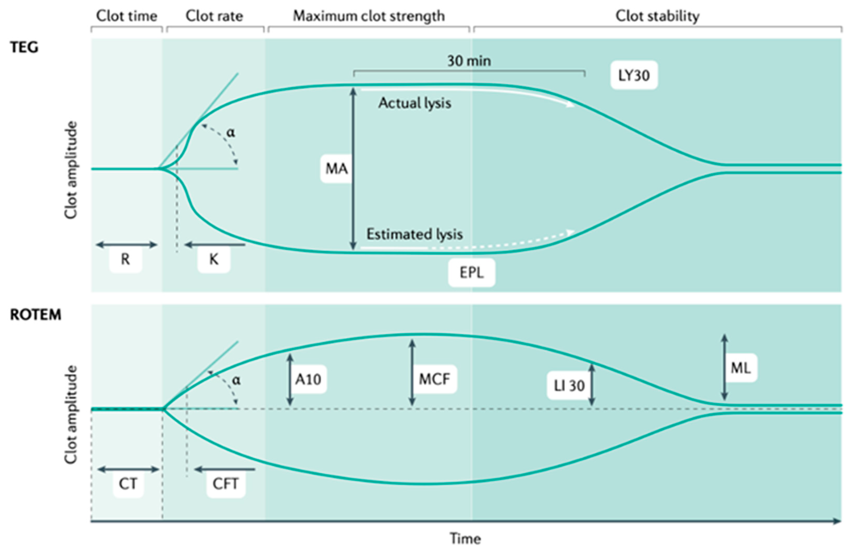 Ijms 24 07118 g004 Ijms 24 07118 g004