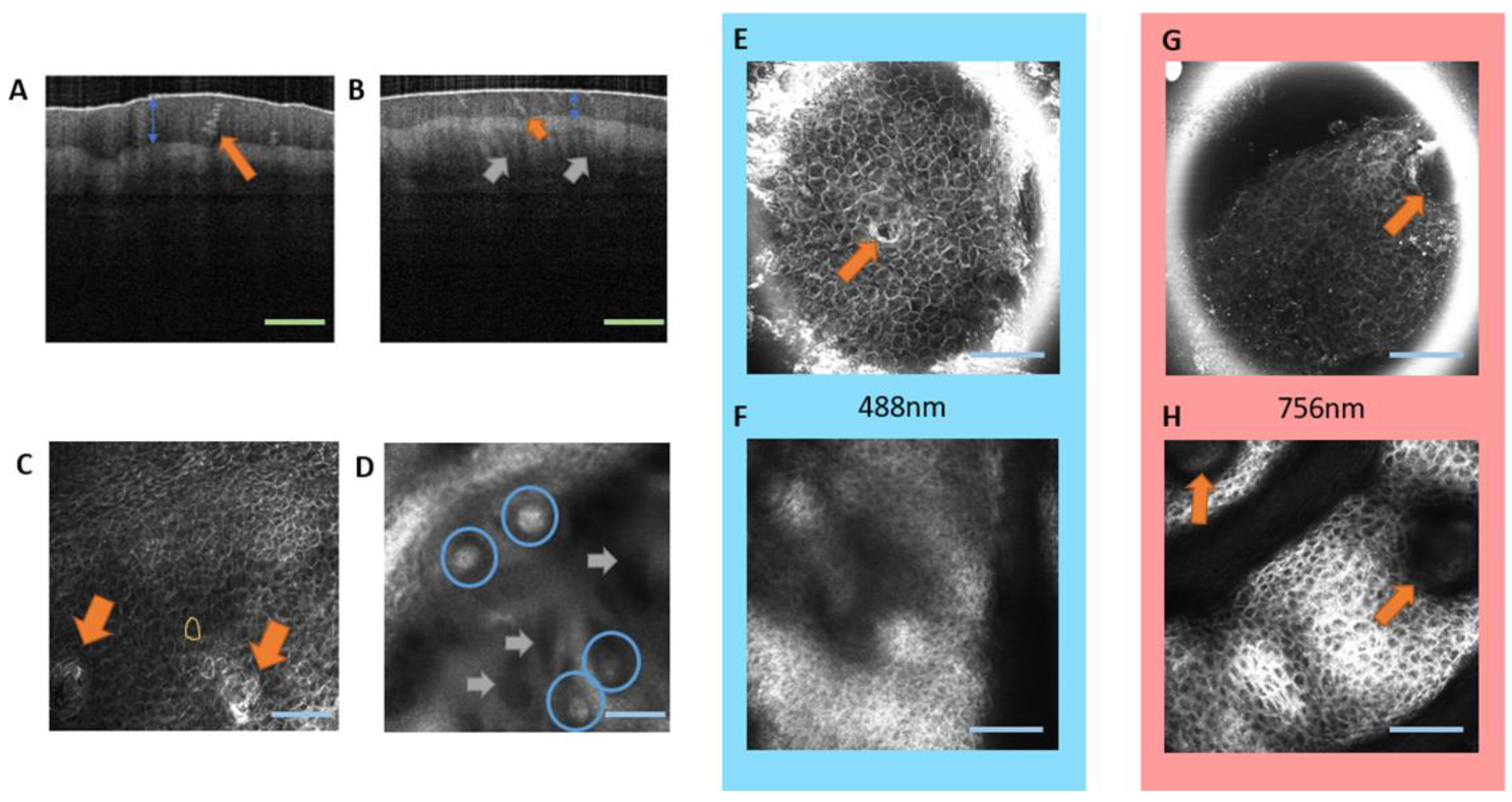 Ijms 24 07121 g001 Ijms 24 07121 g001
