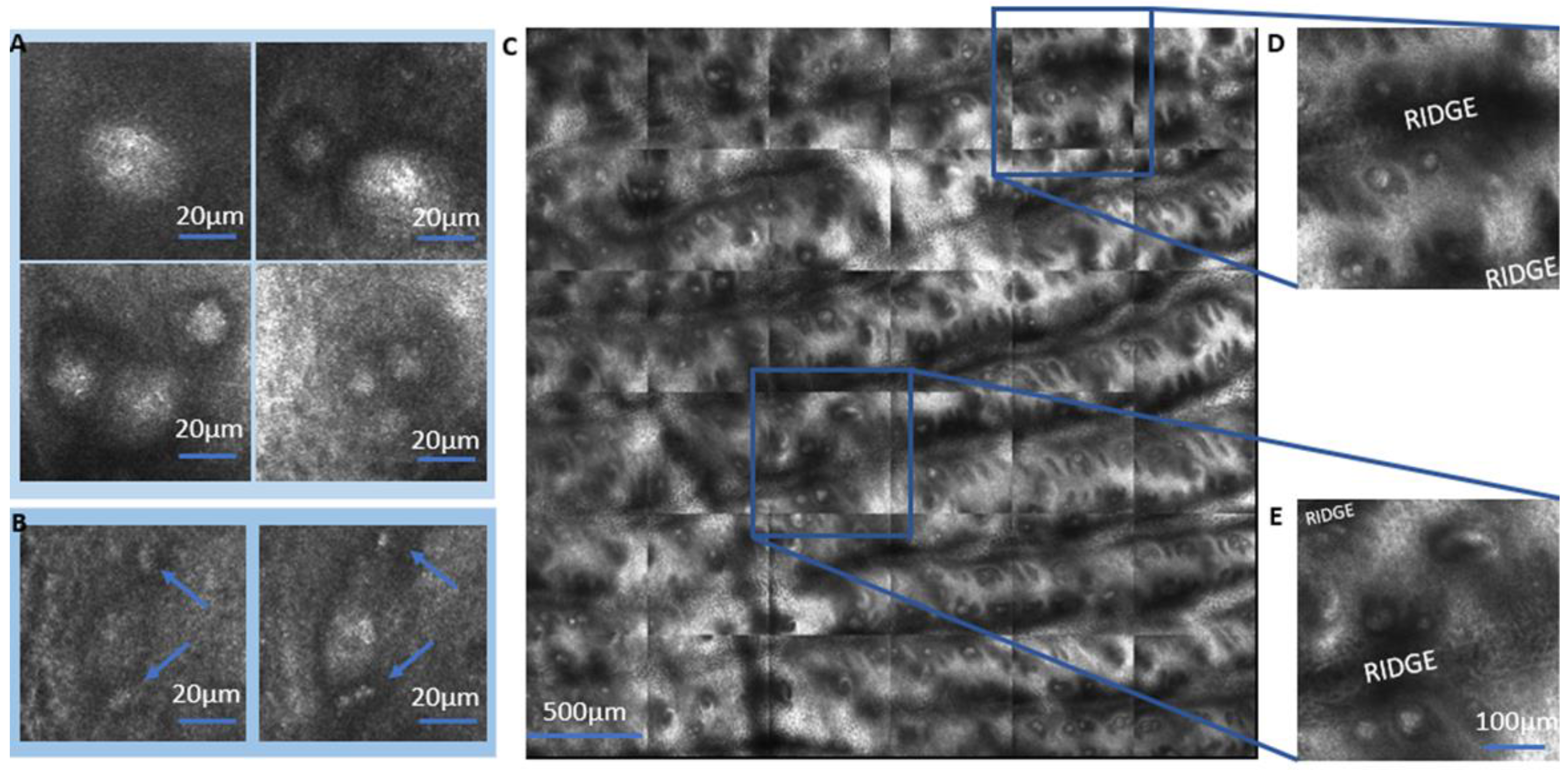 Ijms 24 07121 g002 Ijms 24 07121 g002