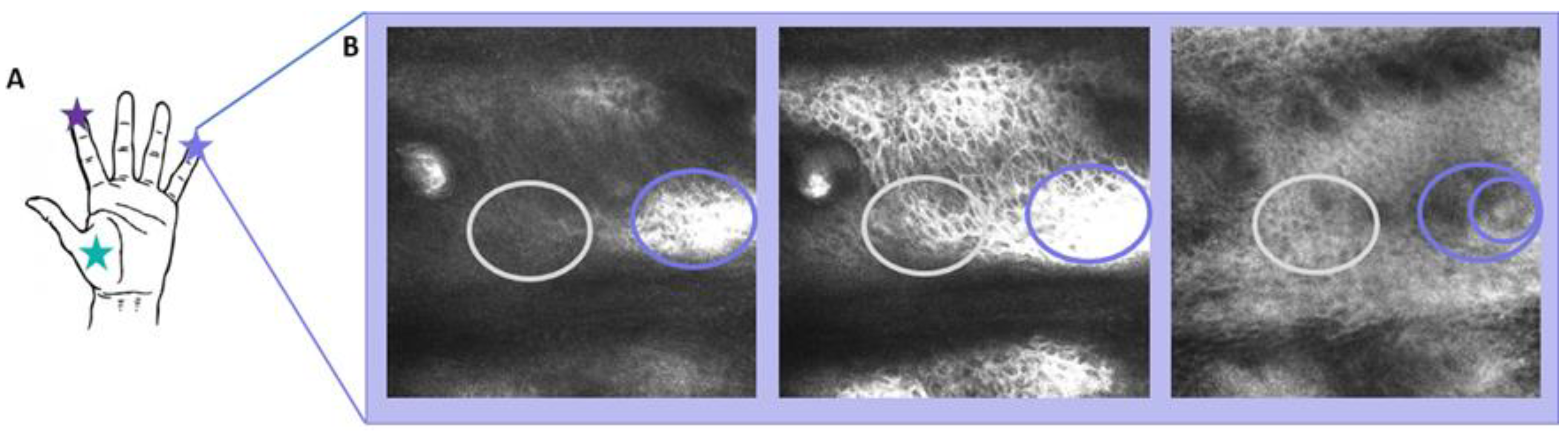 Ijms 24 07121 g003 Ijms 24 07121 g003