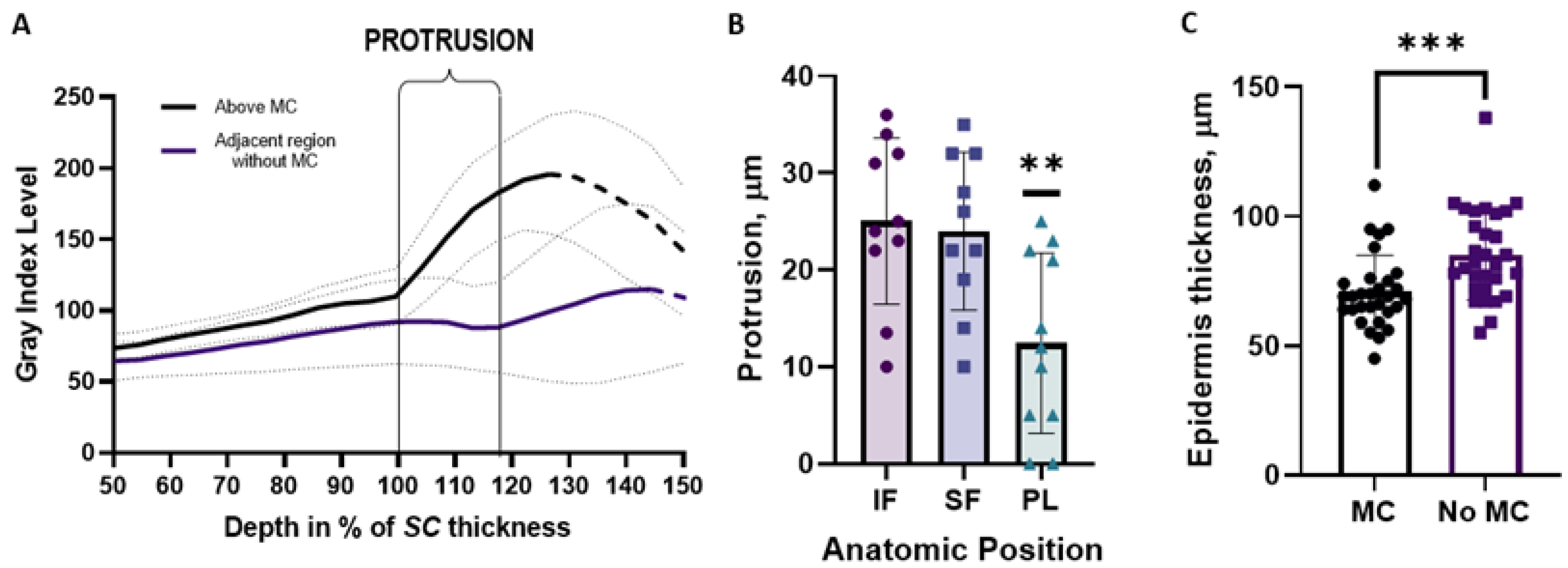 Ijms 24 07121 g004 Ijms 24 07121 g004