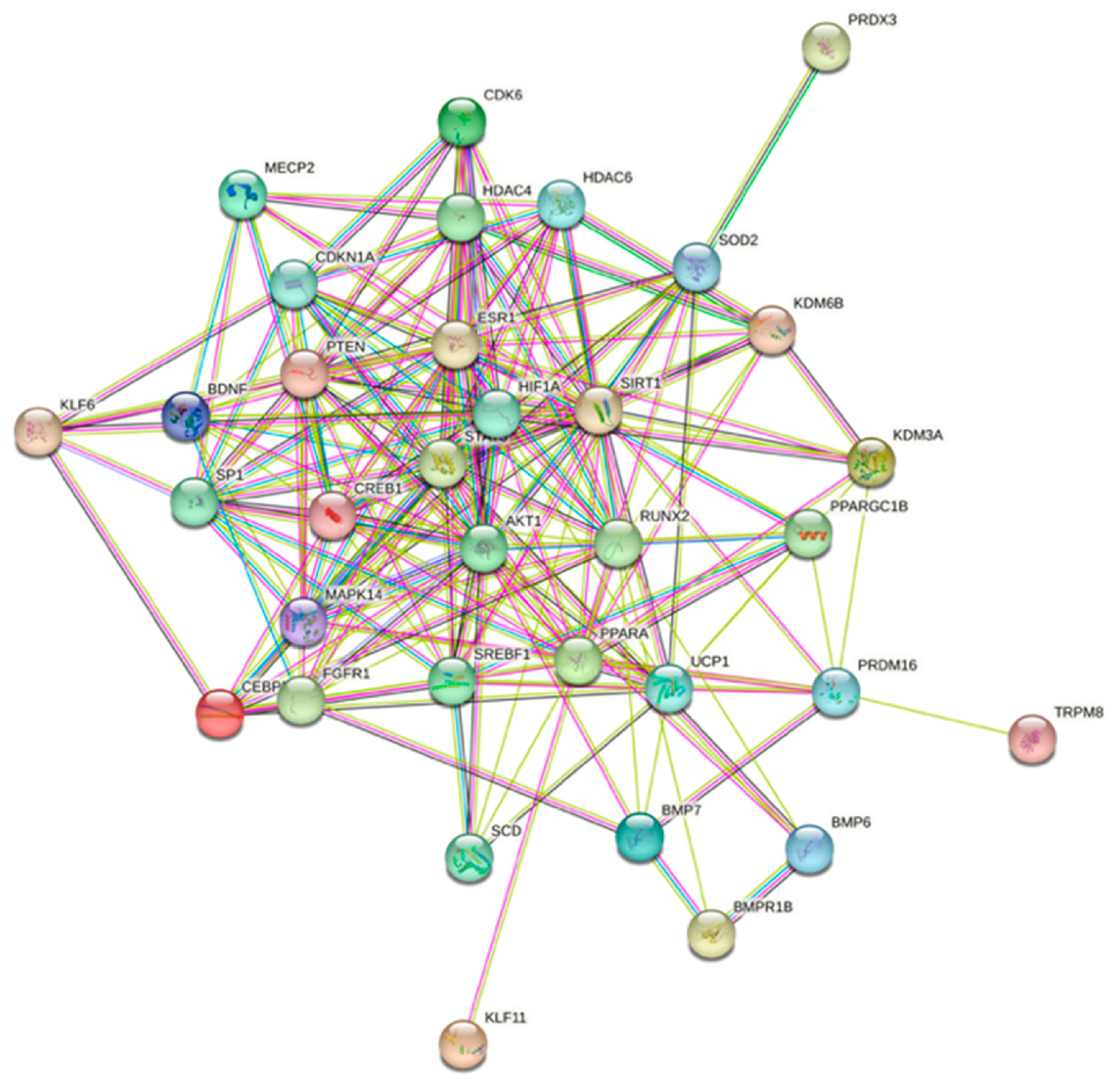 Ijms 24 07126 g004 Ijms 24 07126 g004