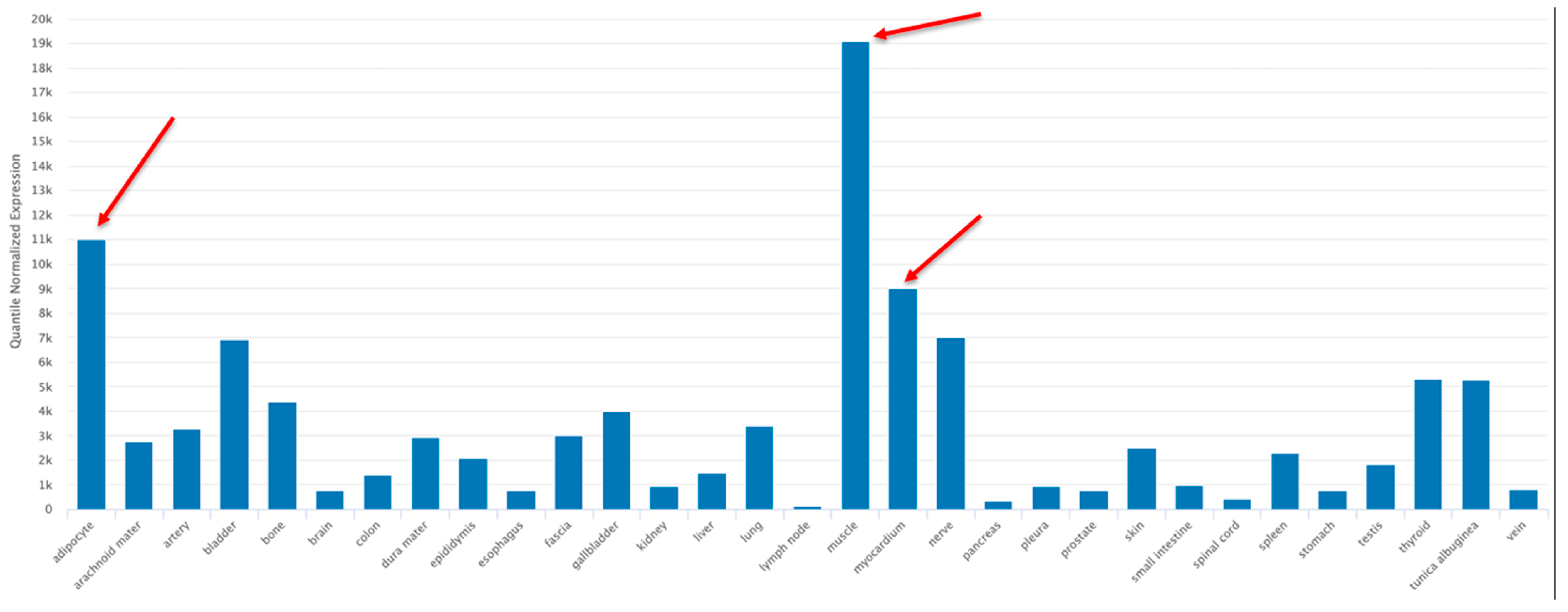 Ijms 24 07126 g005 Ijms 24 07126 g005
