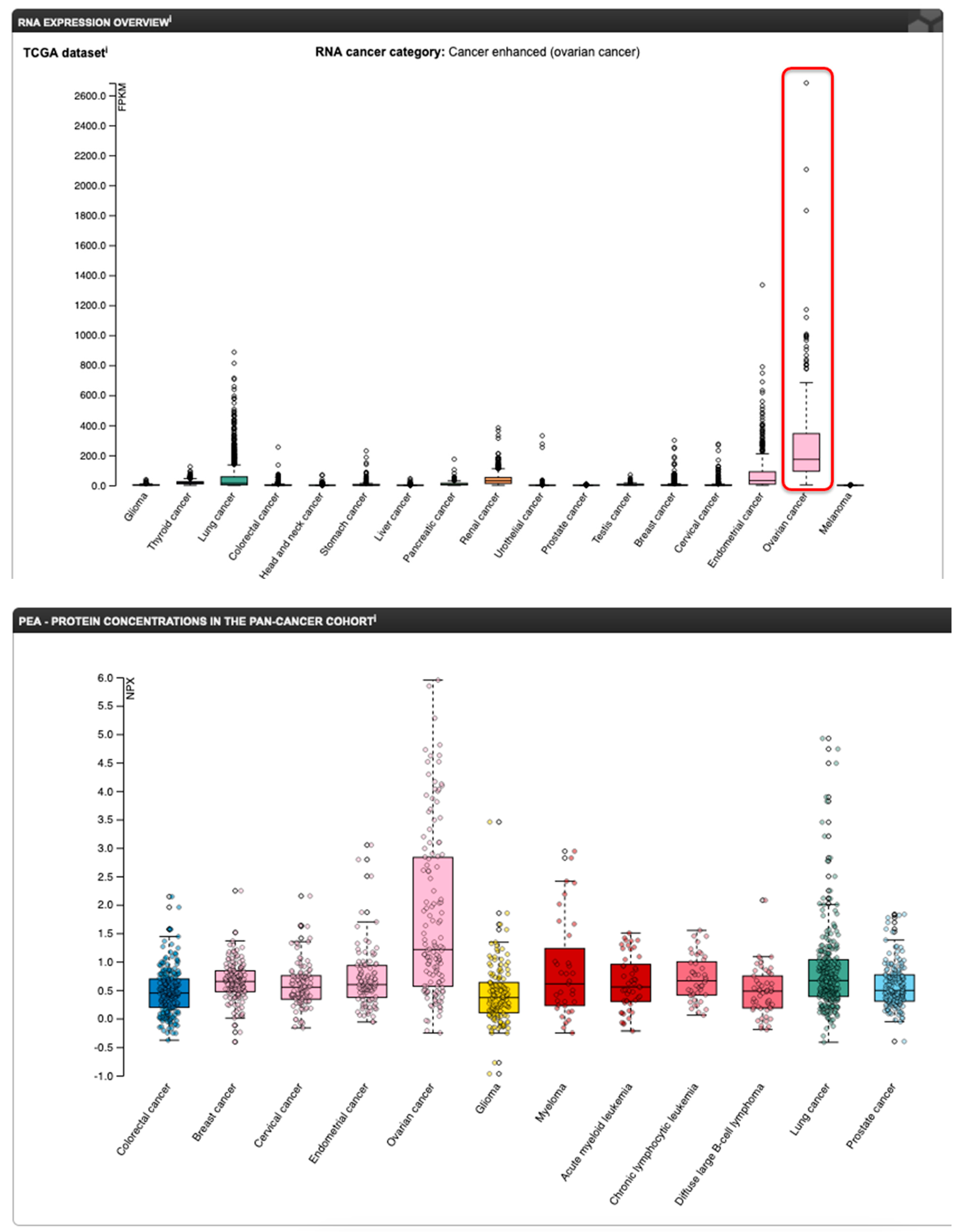 Ijms 24 07126 g014 Ijms 24 07126 g014