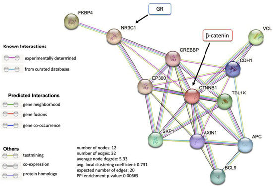Glucocorticoid Receptor and β-Catenin Interact in Prostate Cancer