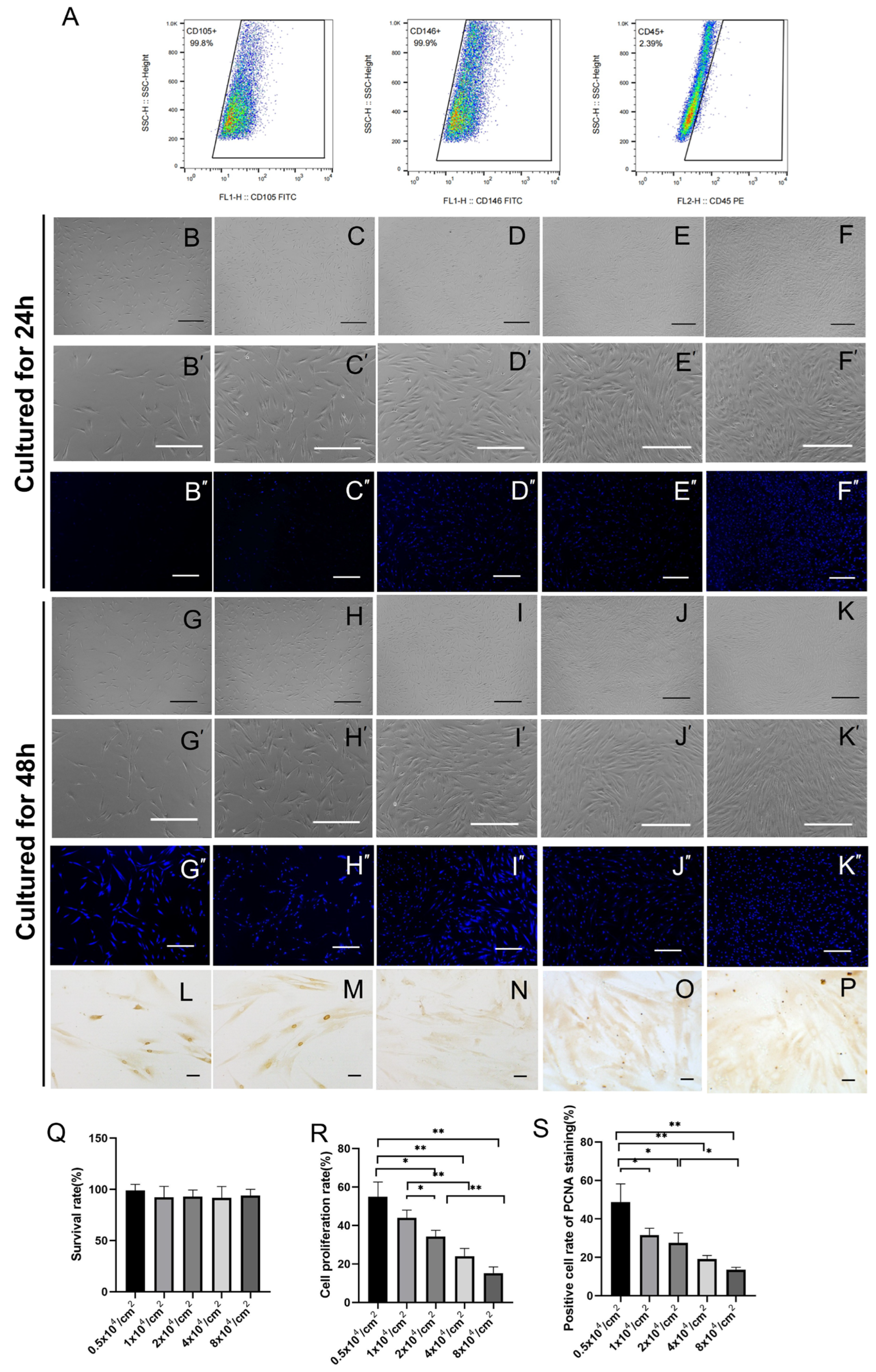 Ijms 24 07133 g001 Ijms 24 07133 g001