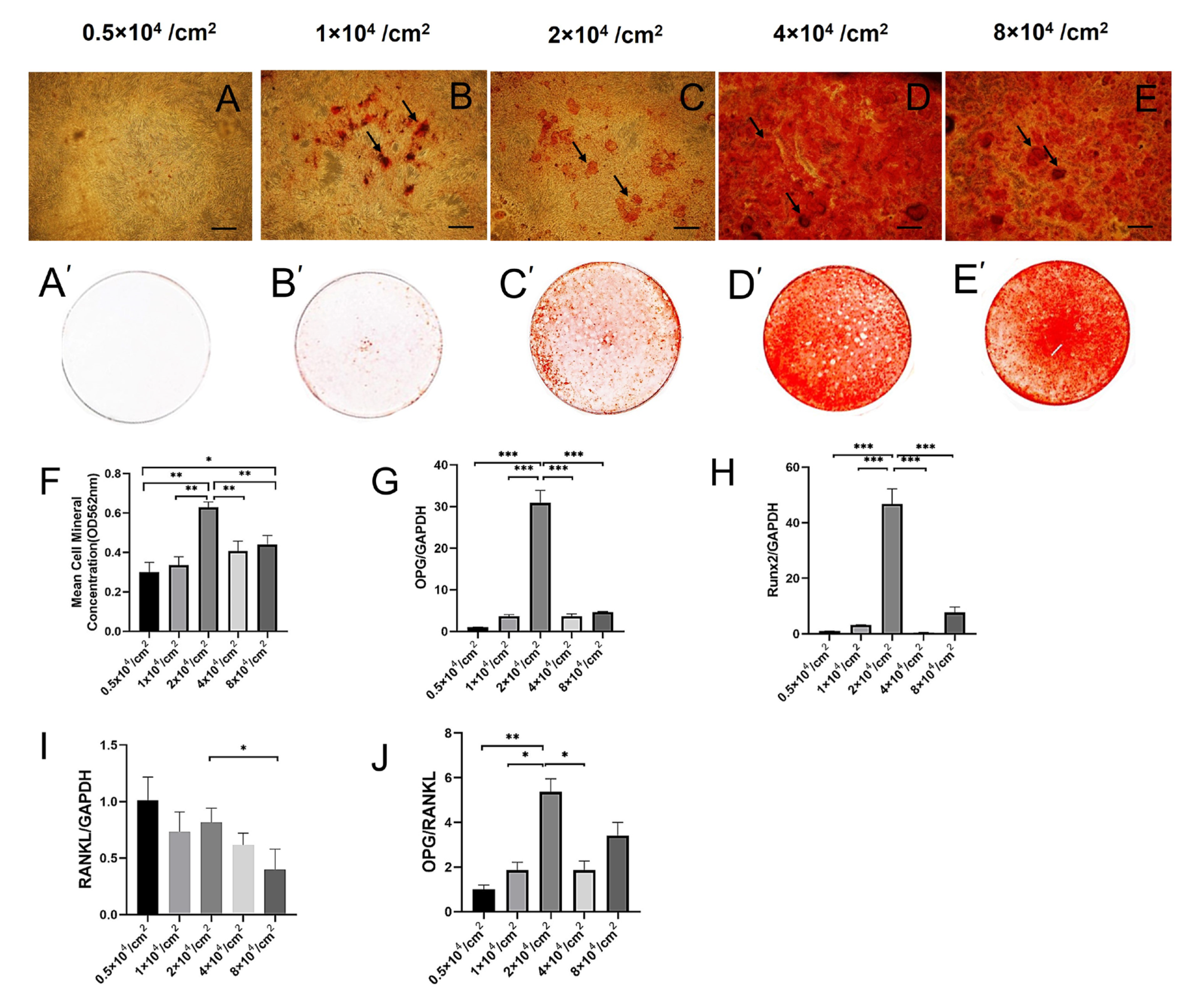 Ijms 24 07133 g002 Ijms 24 07133 g002