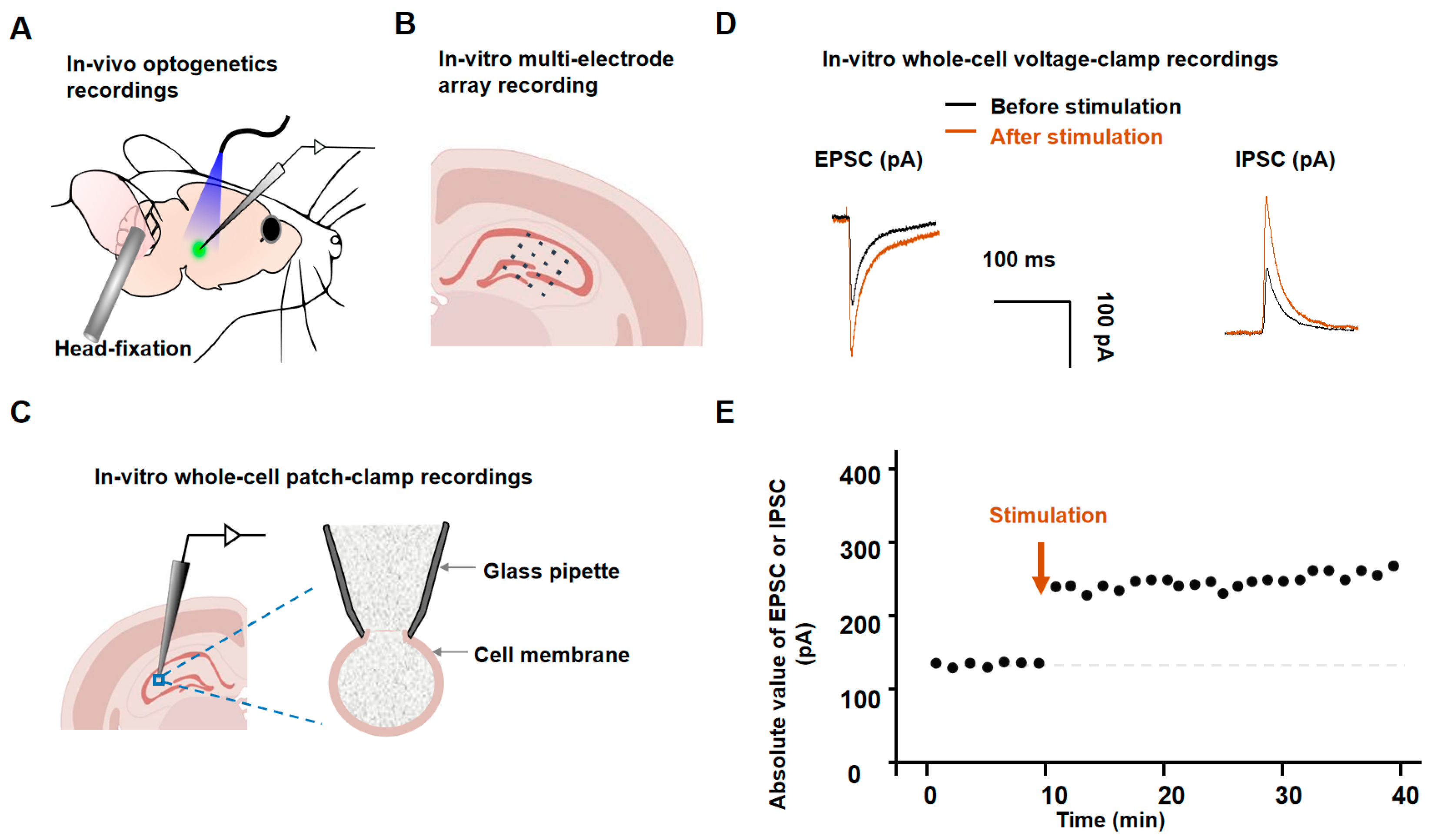 Ijms 24 07134 g001 Ijms 24 07134 g001