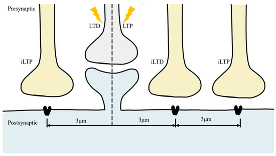 Advances in the Electrophysiological Recordings of Long-Term Potentiation