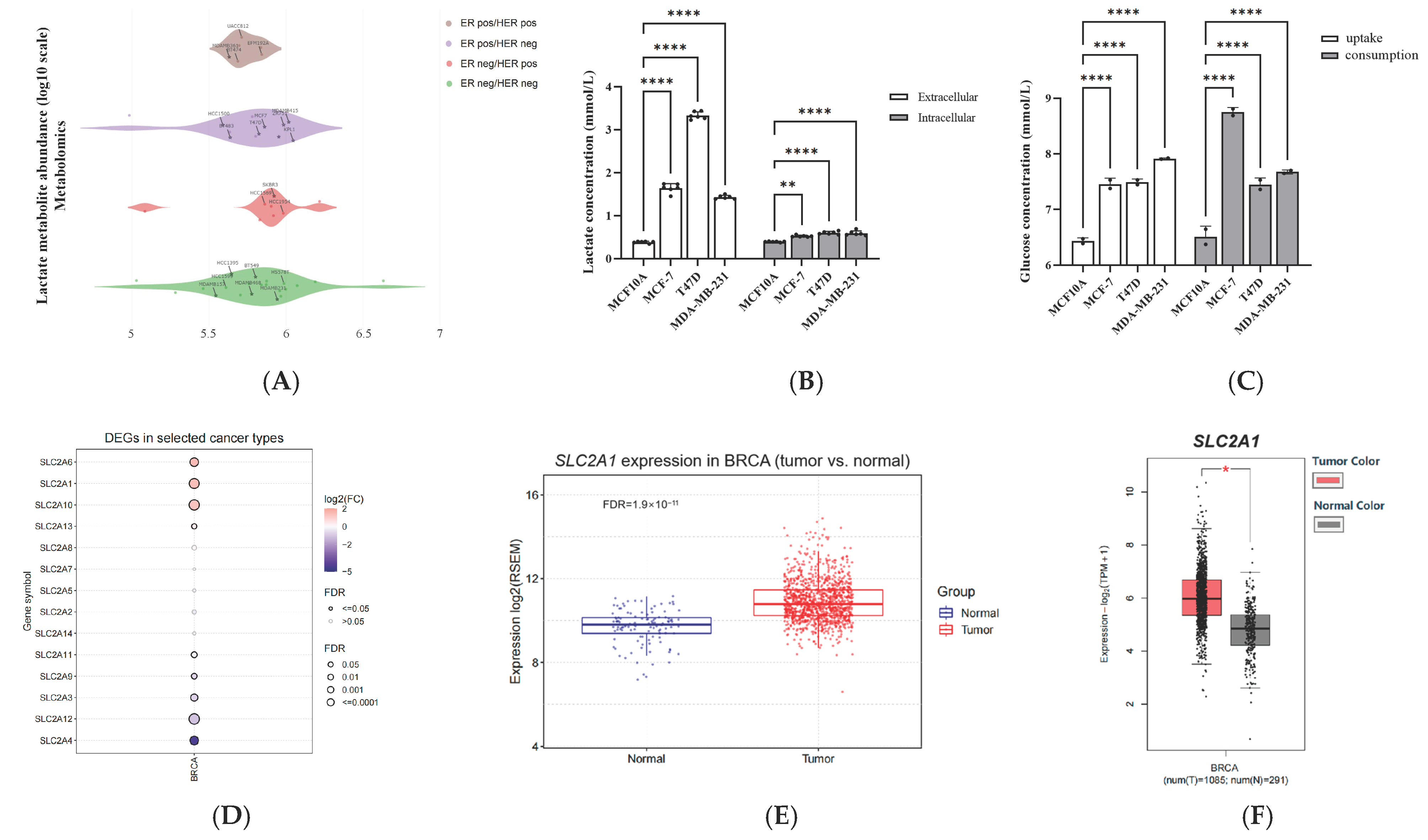 Ijms 24 07136 g001a Ijms 24 07136 g001a