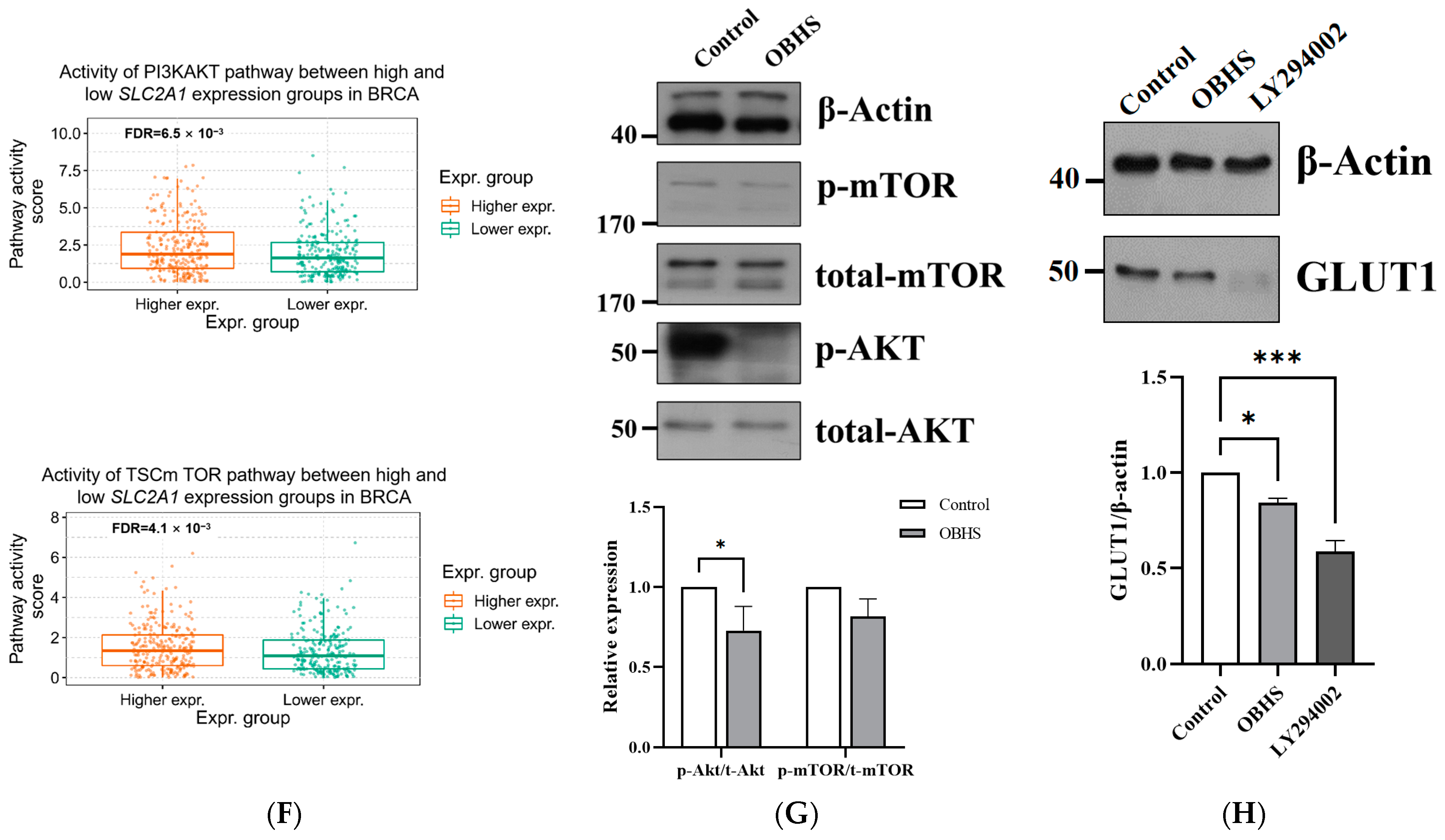 Ijms 24 07136 g002b Ijms 24 07136 g002b
