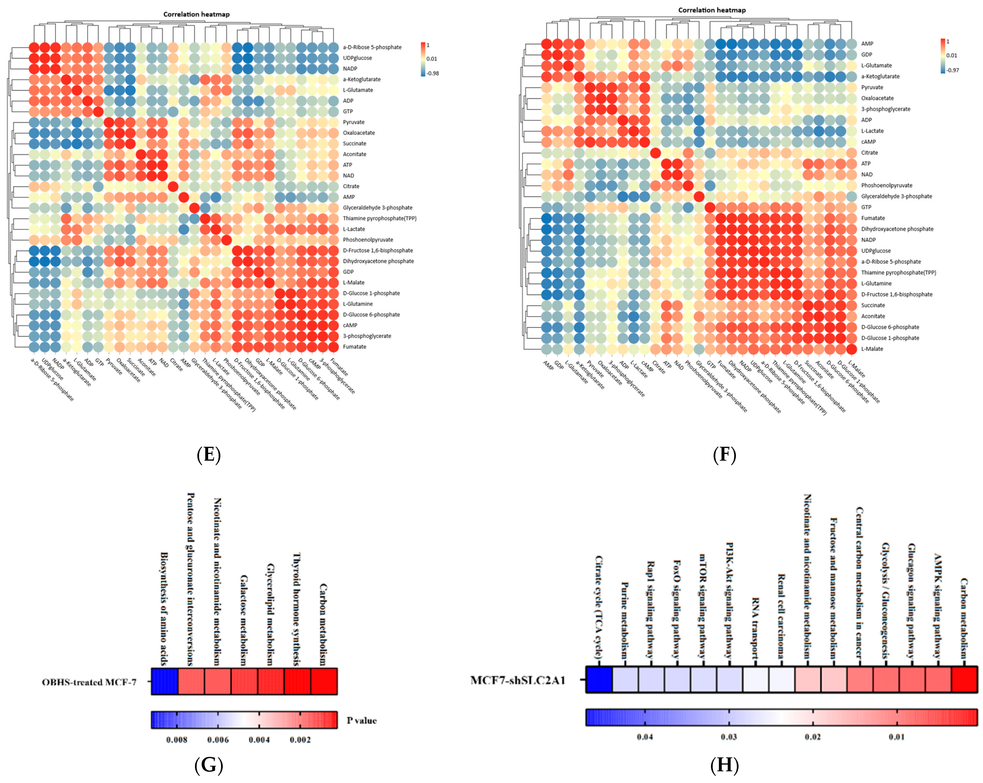 Ijms 24 07136 g003b Ijms 24 07136 g003b
