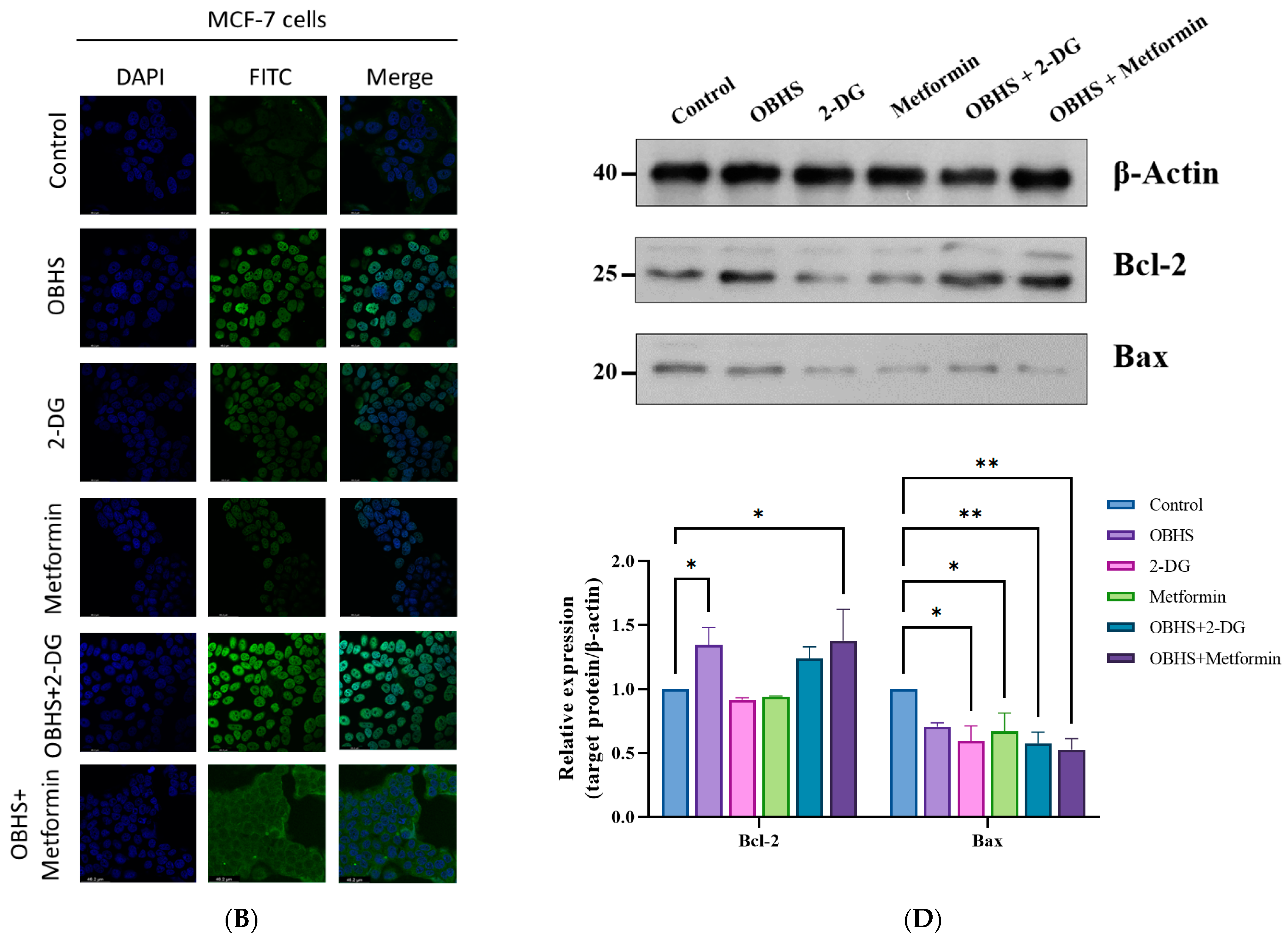 Ijms 24 07136 g005b Ijms 24 07136 g005b