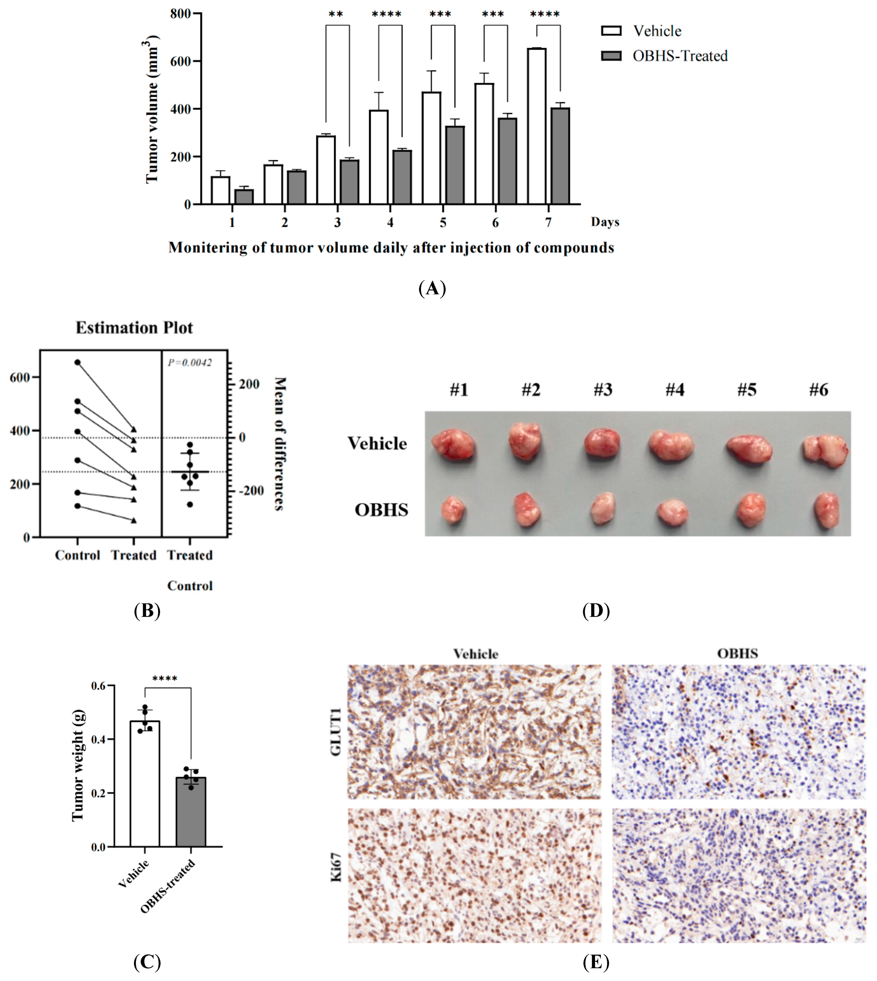 Ijms 24 07136 g006 Ijms 24 07136 g006