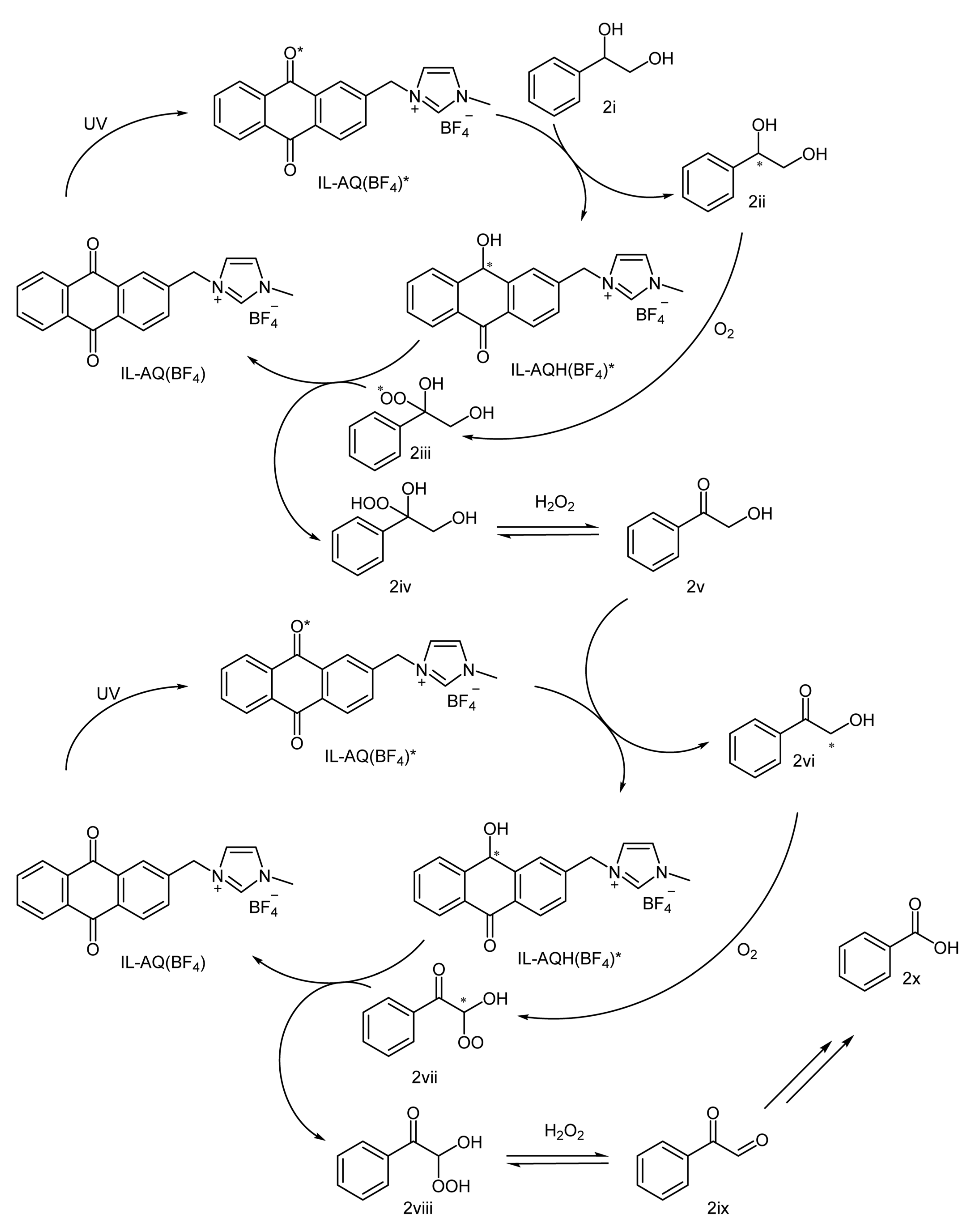 Ijms 24 07141 sch002