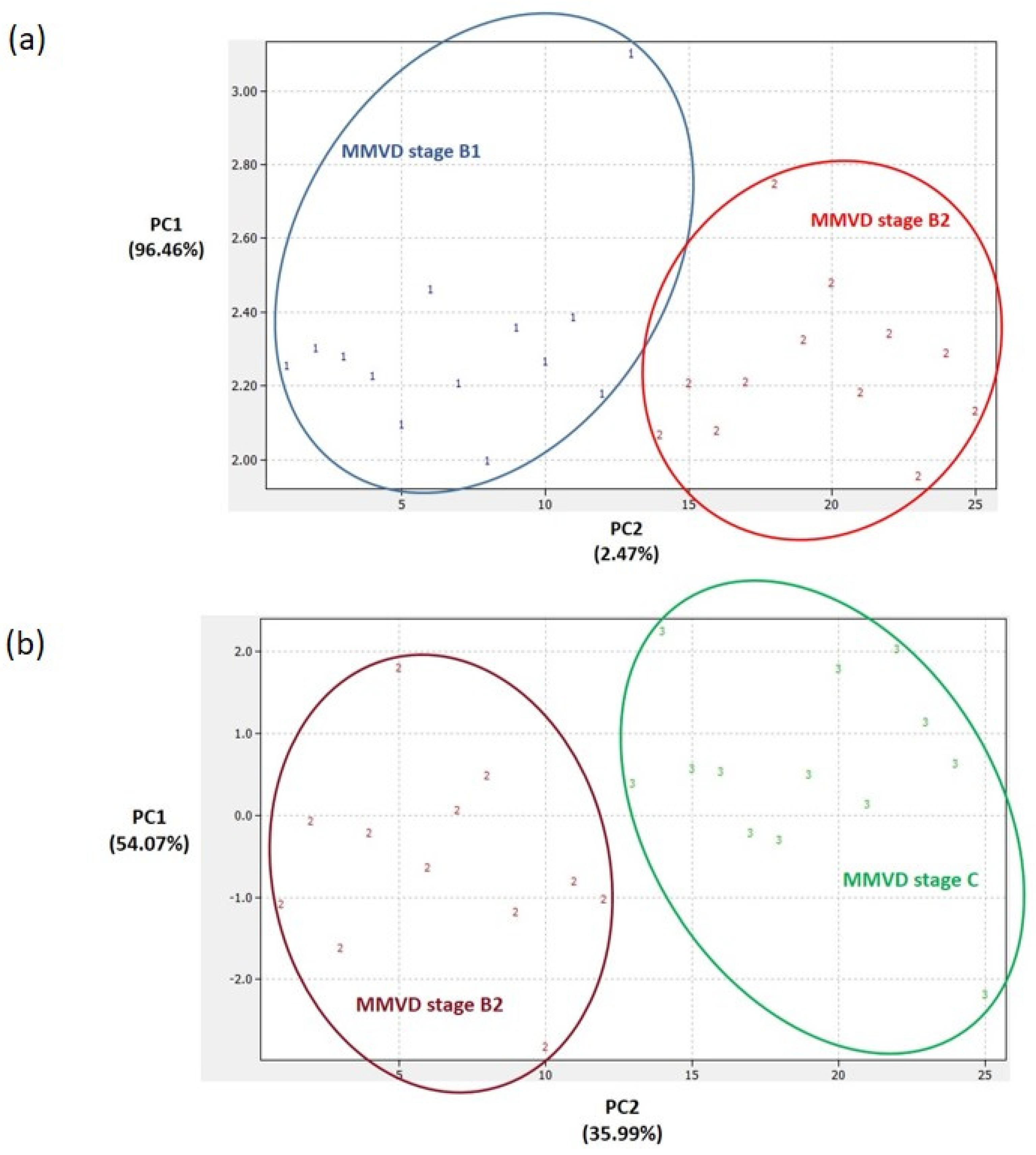 Ijms 24 07142 g004 Ijms 24 07142 g004