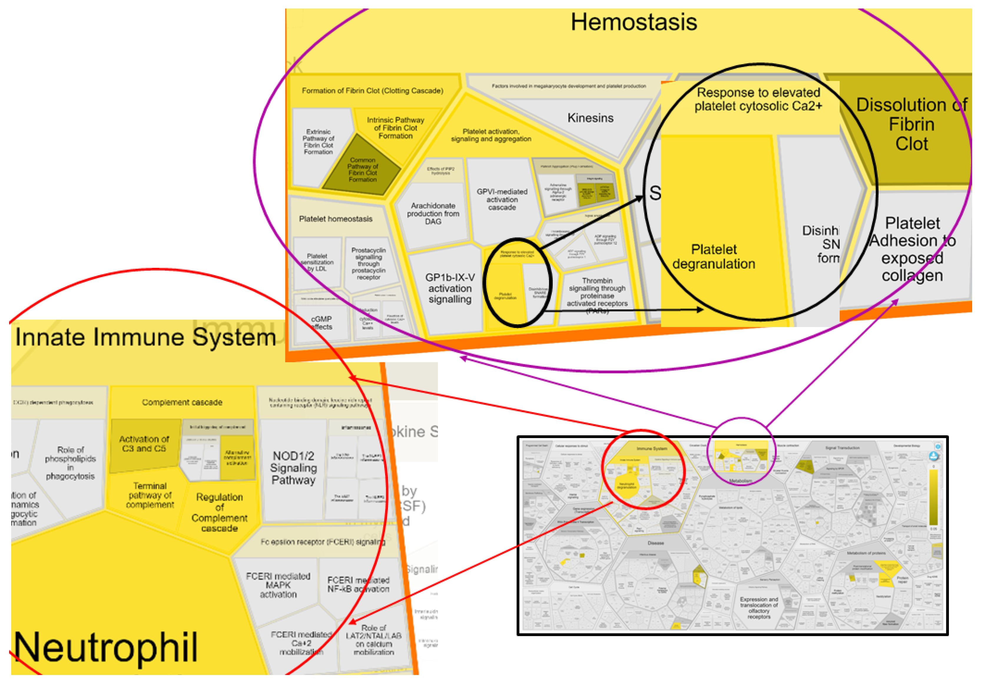 Ijms 24 07142 g005 Ijms 24 07142 g005