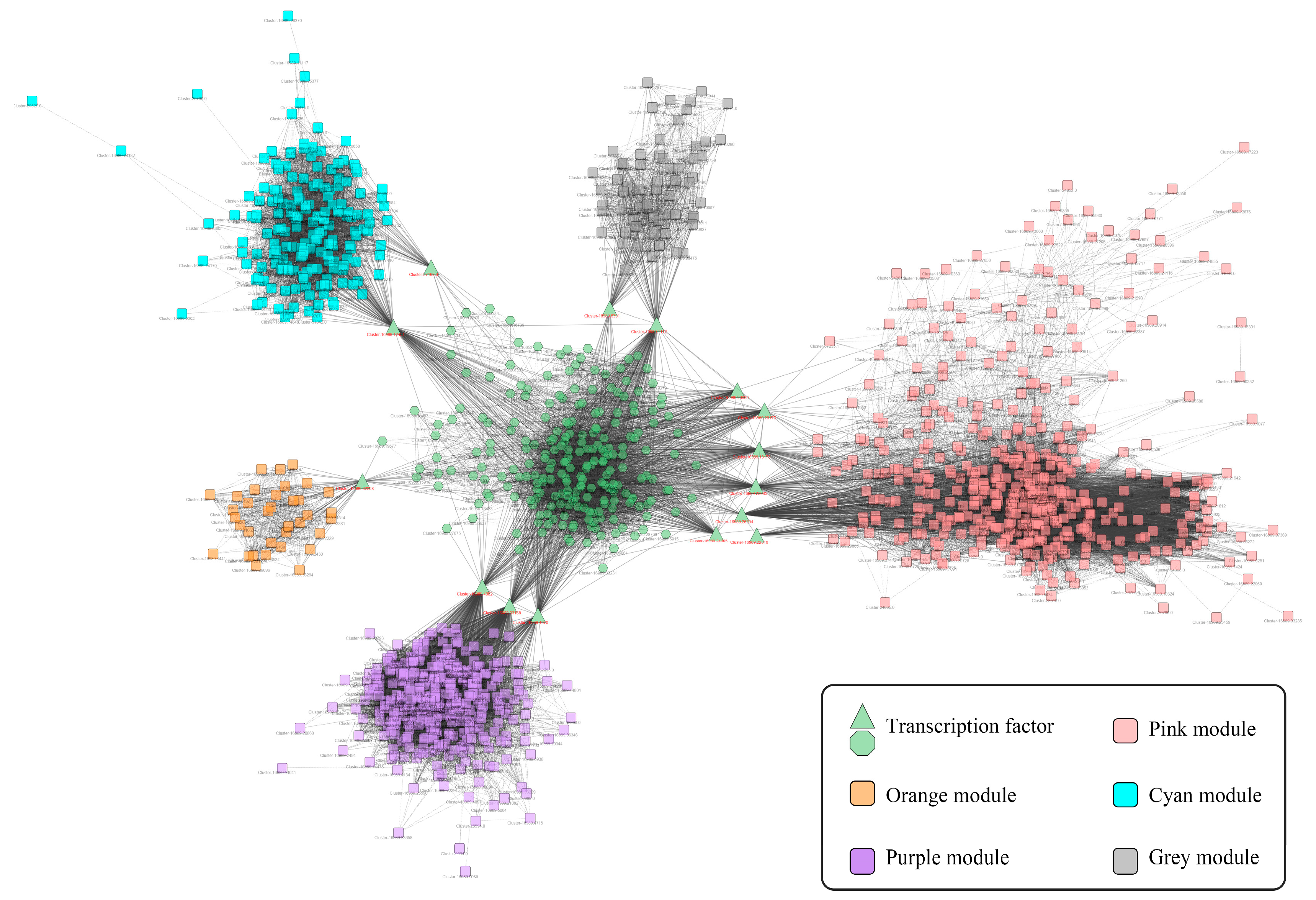 Ijms 24 07143 g002 Ijms 24 07143 g002