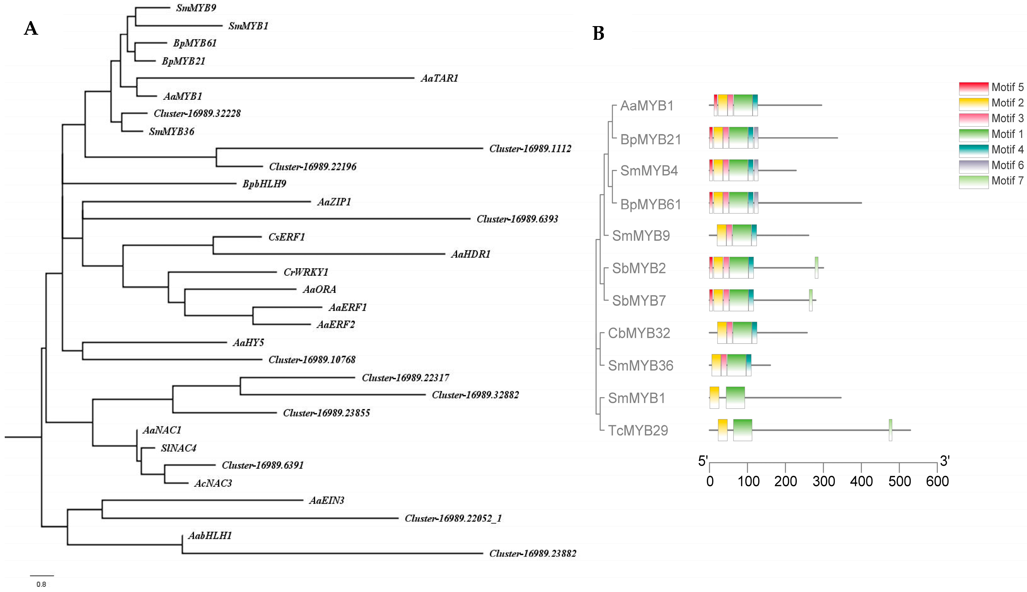 Ijms 24 07143 g003 Ijms 24 07143 g003