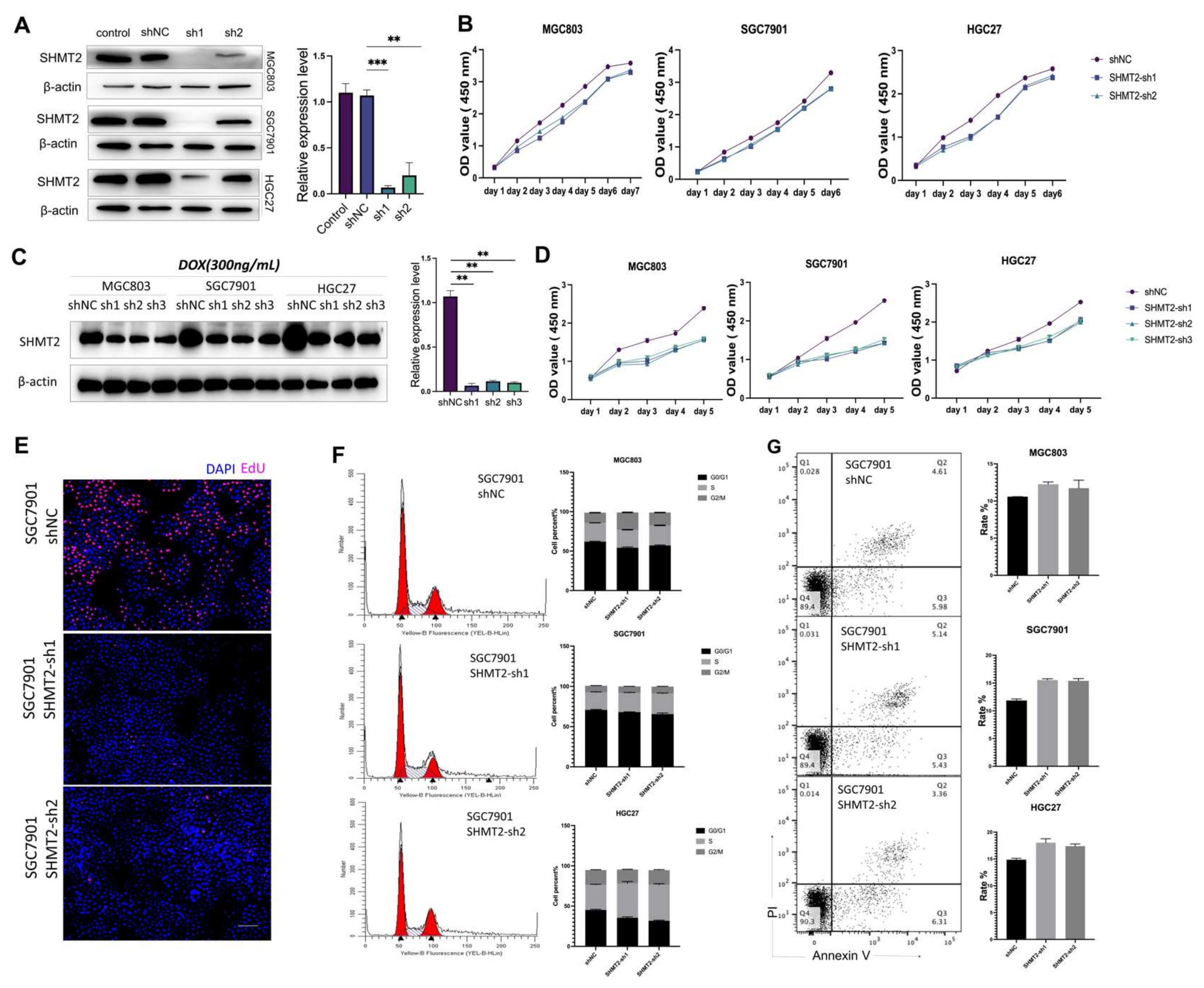 Ijms 24 07150 g002 Ijms 24 07150 g002
