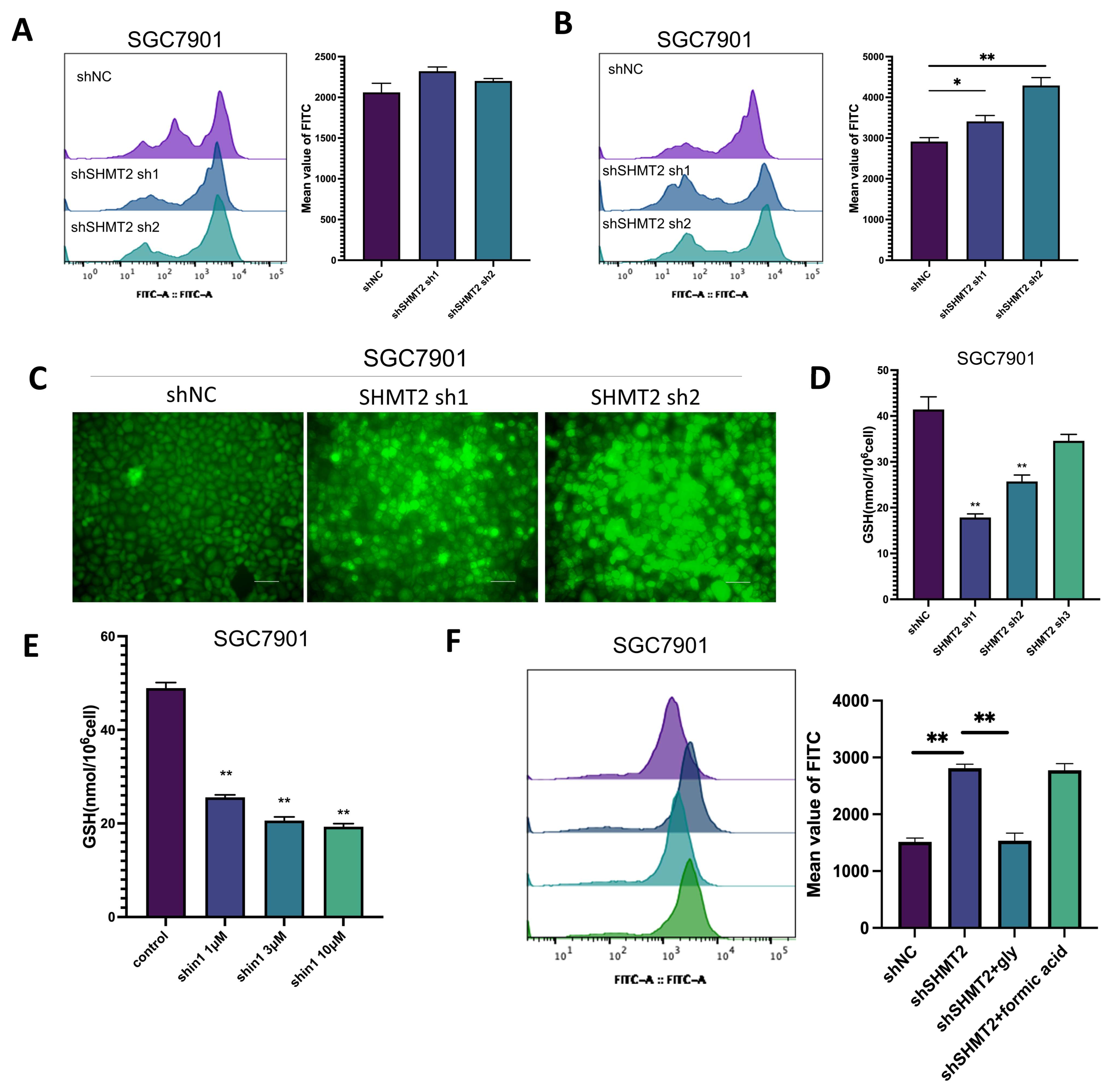 Ijms 24 07150 g005 Ijms 24 07150 g005