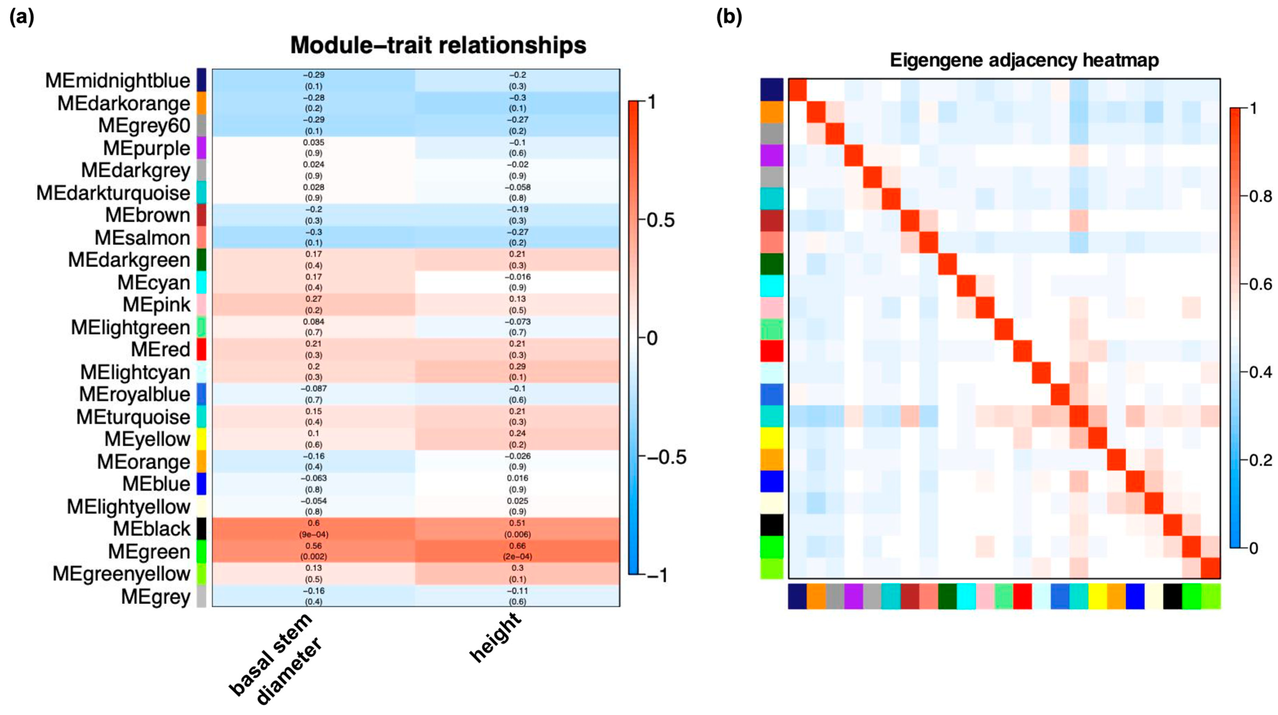 Ijms 24 07170 g005 Ijms 24 07170 g005