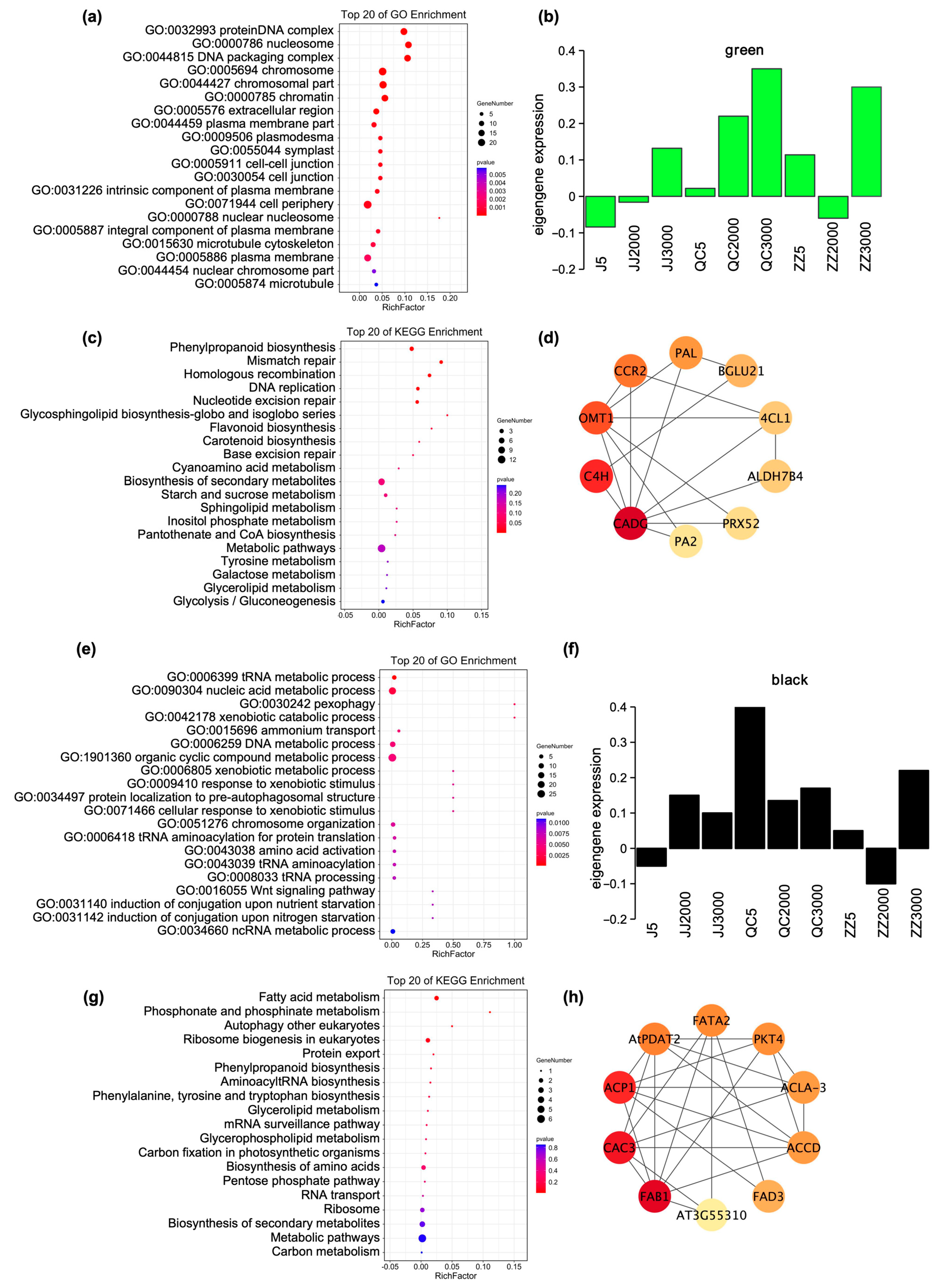 Ijms 24 07170 g006 Ijms 24 07170 g006
