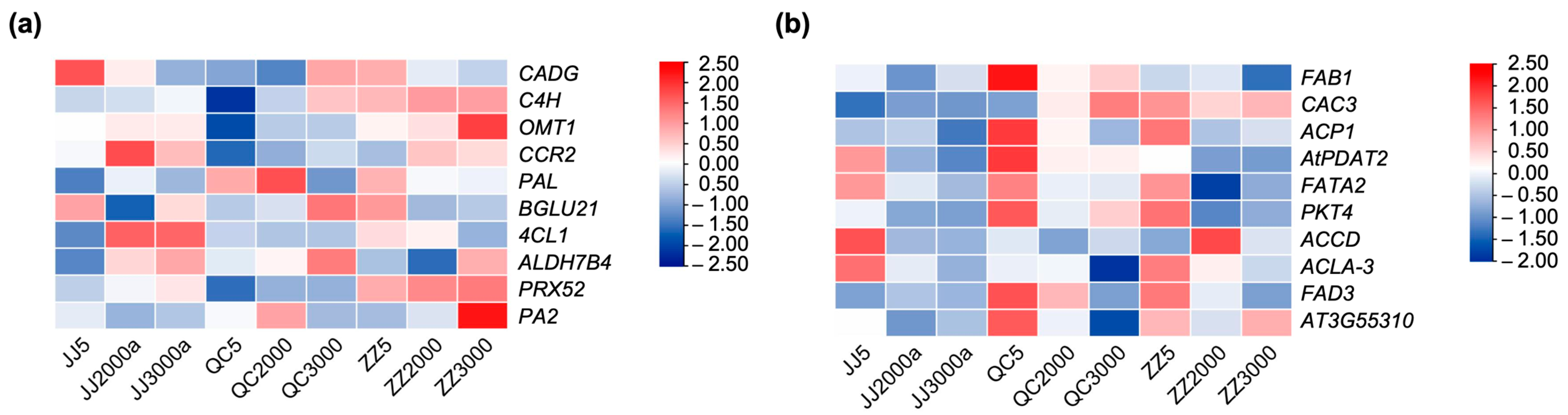 Ijms 24 07170 g007 Ijms 24 07170 g007