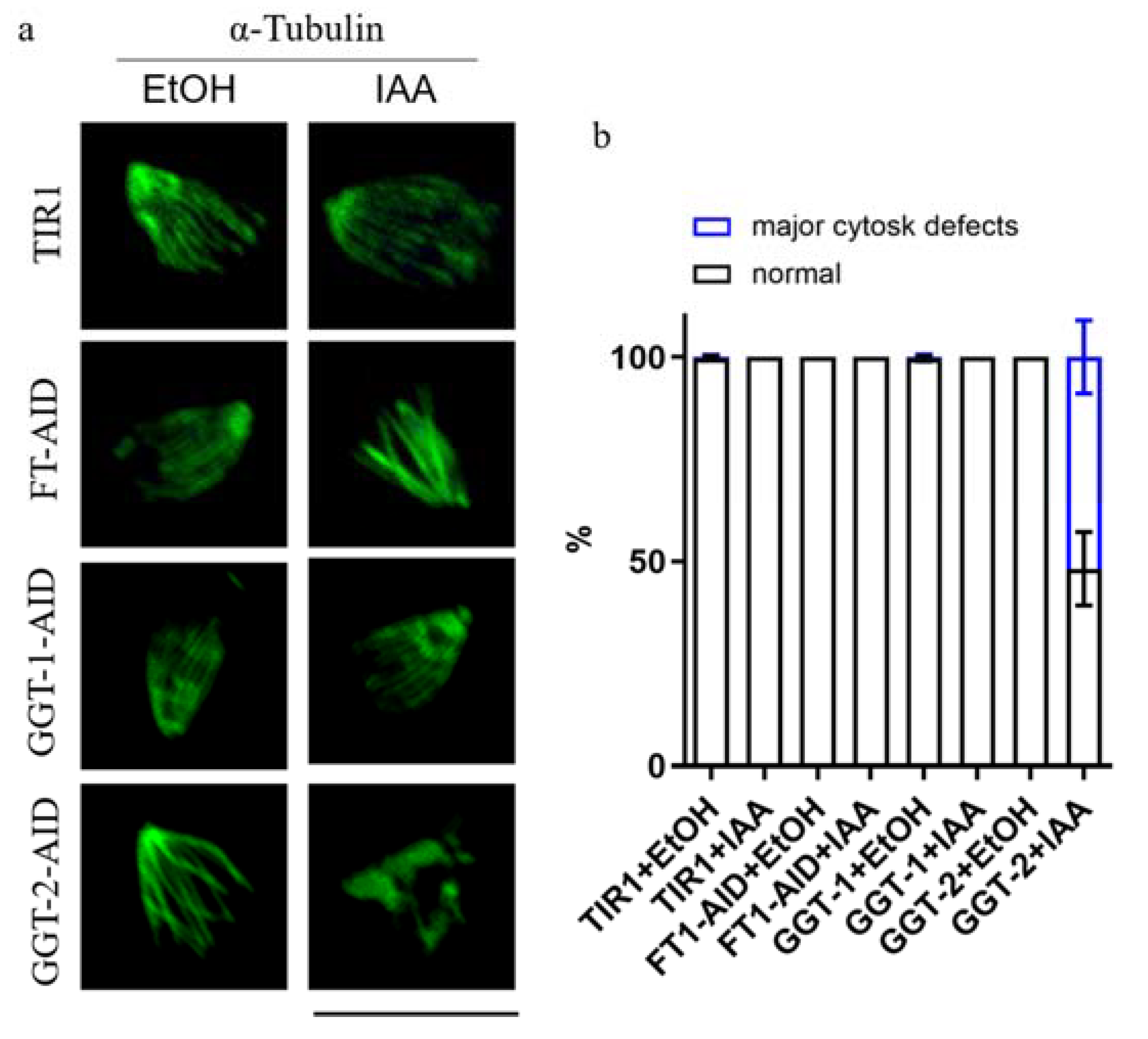 Ijms 24 07172 g007 550