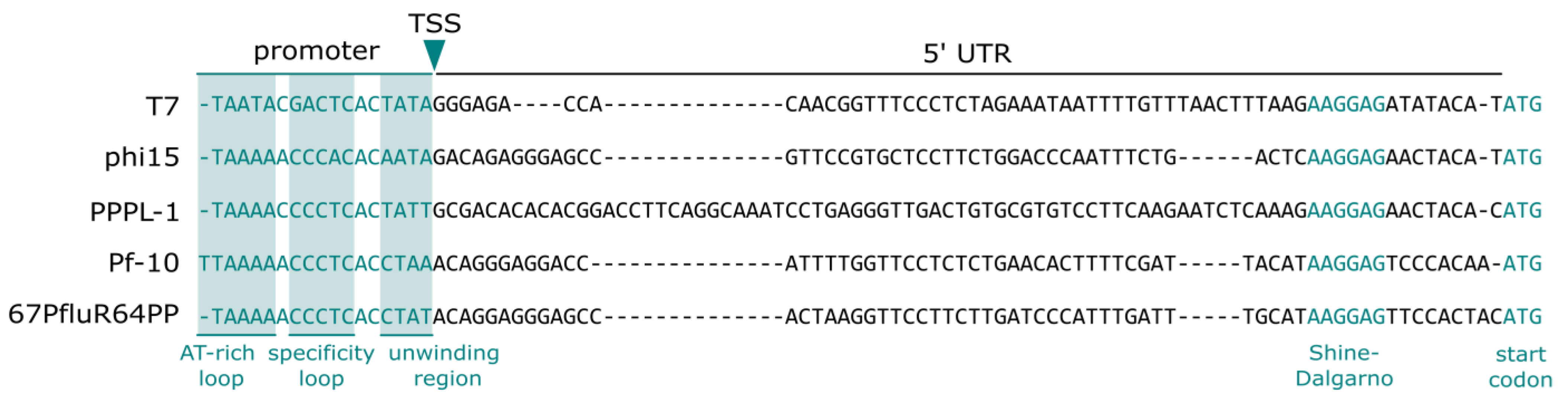 Ijms 24 07175 g005 Ijms 24 07175 g005