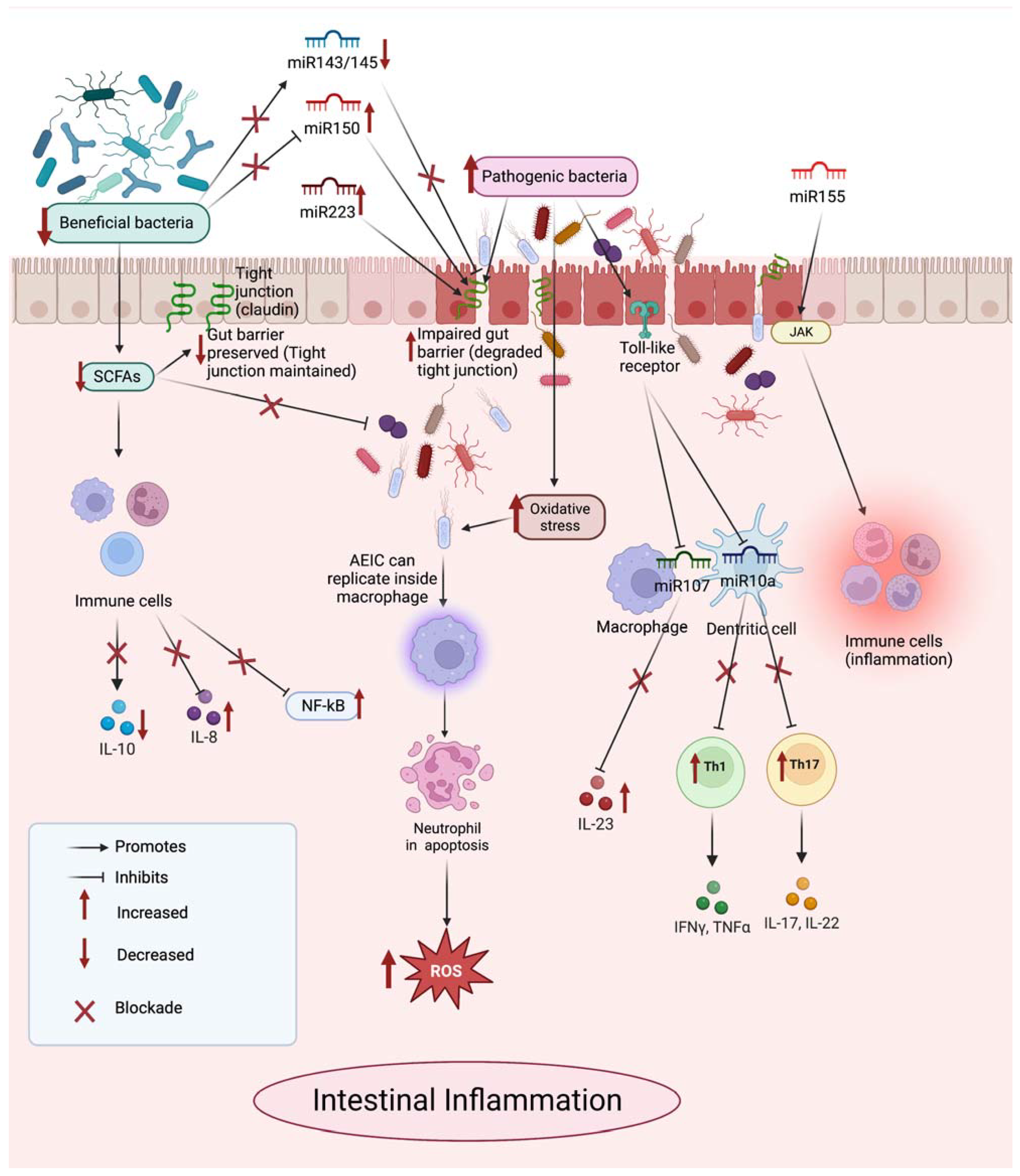 Ijms 24 07176 g001 Ijms 24 07176 g001