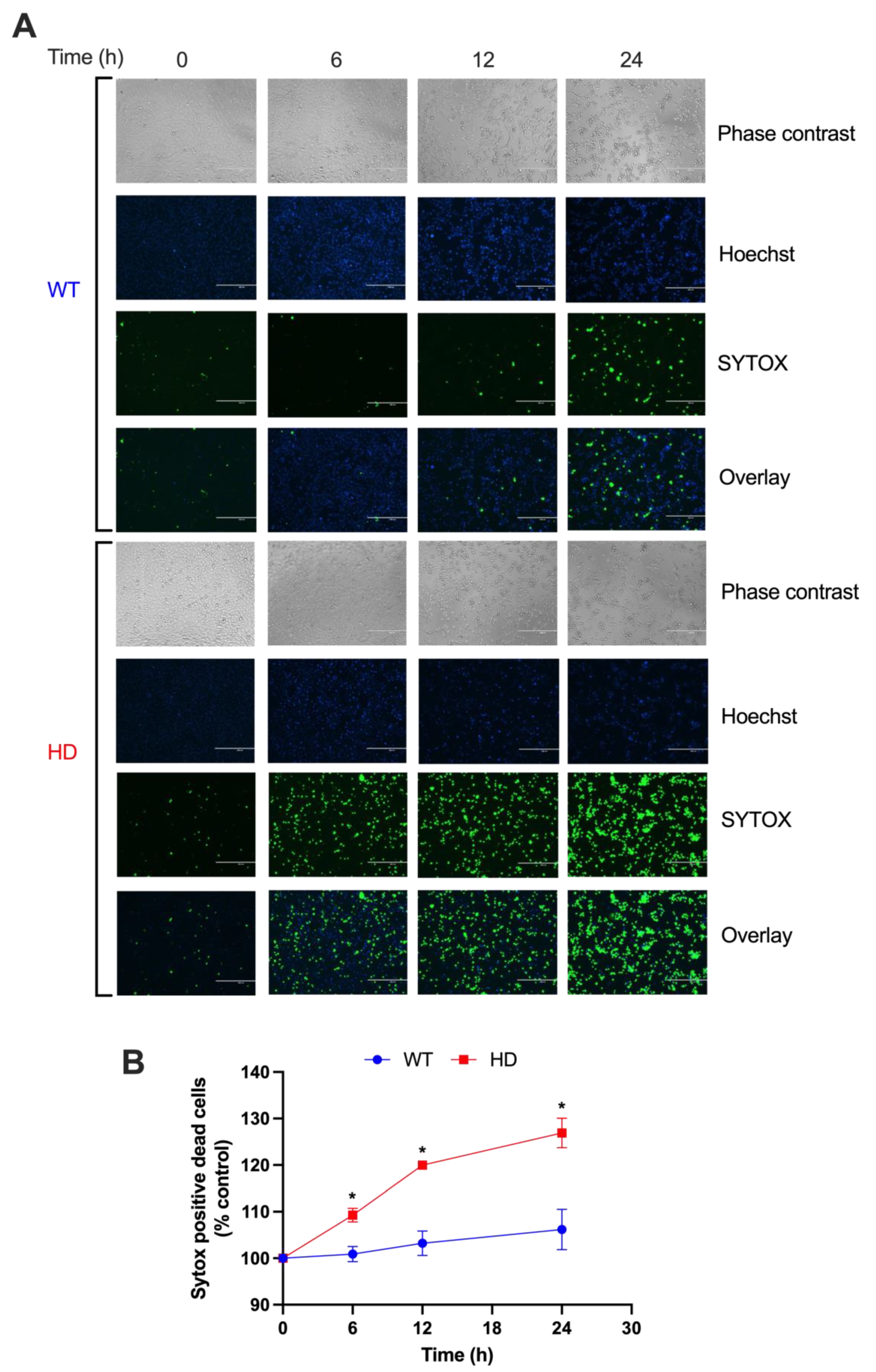 Ijms 24 07178 g001 Ijms 24 07178 g001