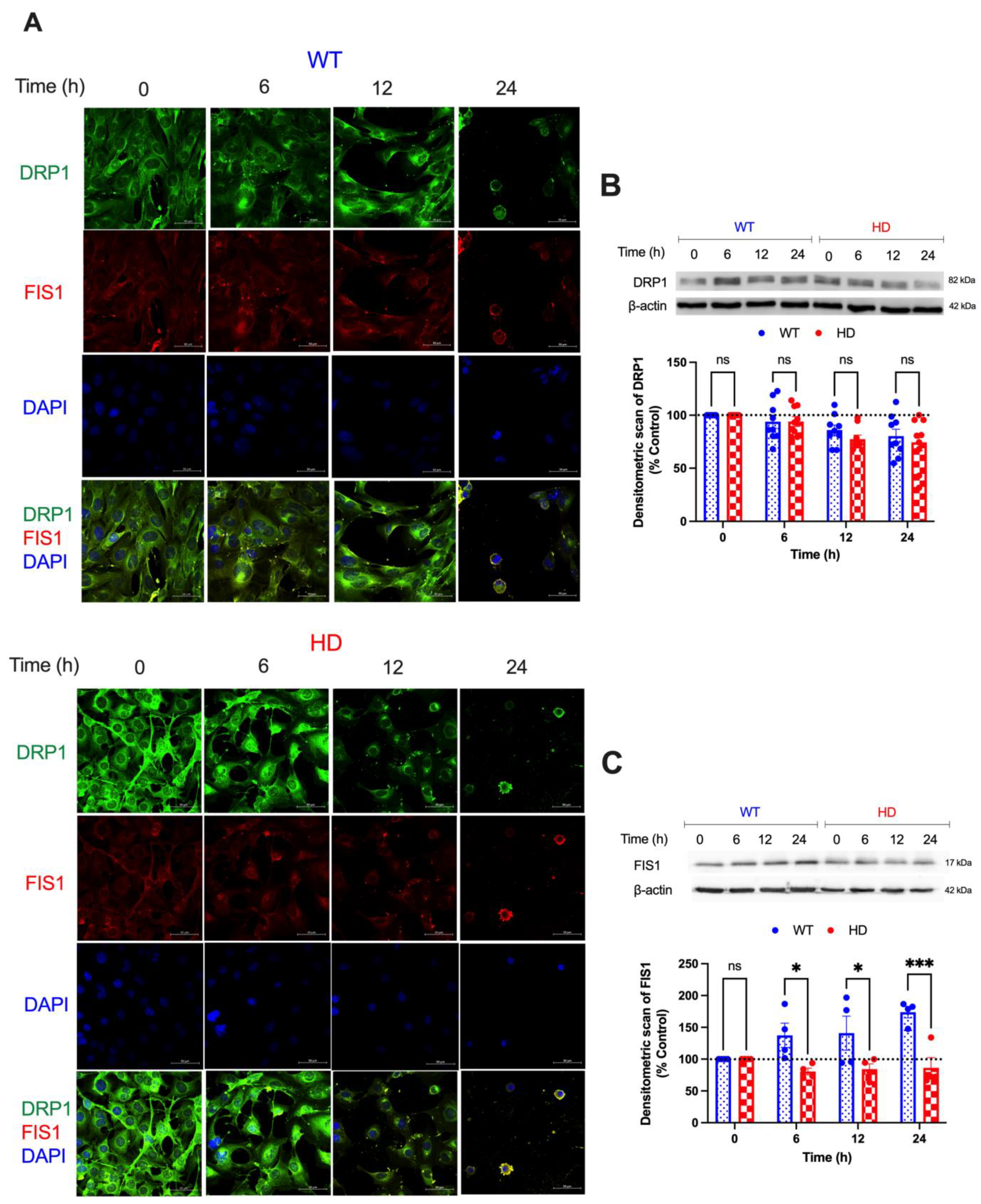 Ijms 24 07178 g003 Ijms 24 07178 g003