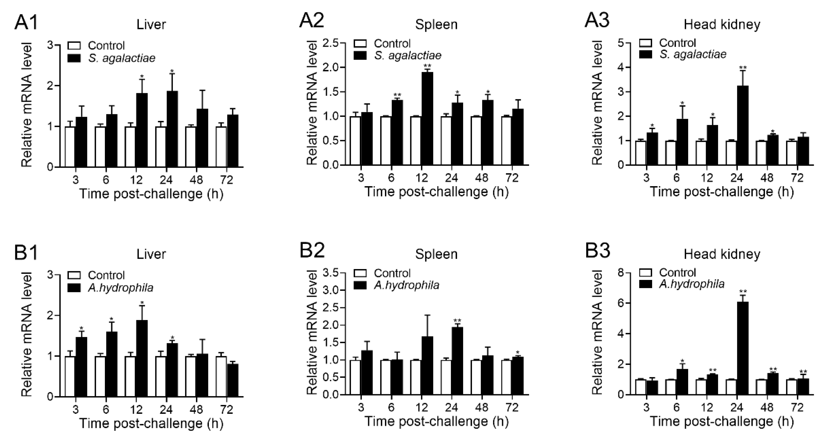 Ijms 24 07179 g003 Ijms 24 07179 g003