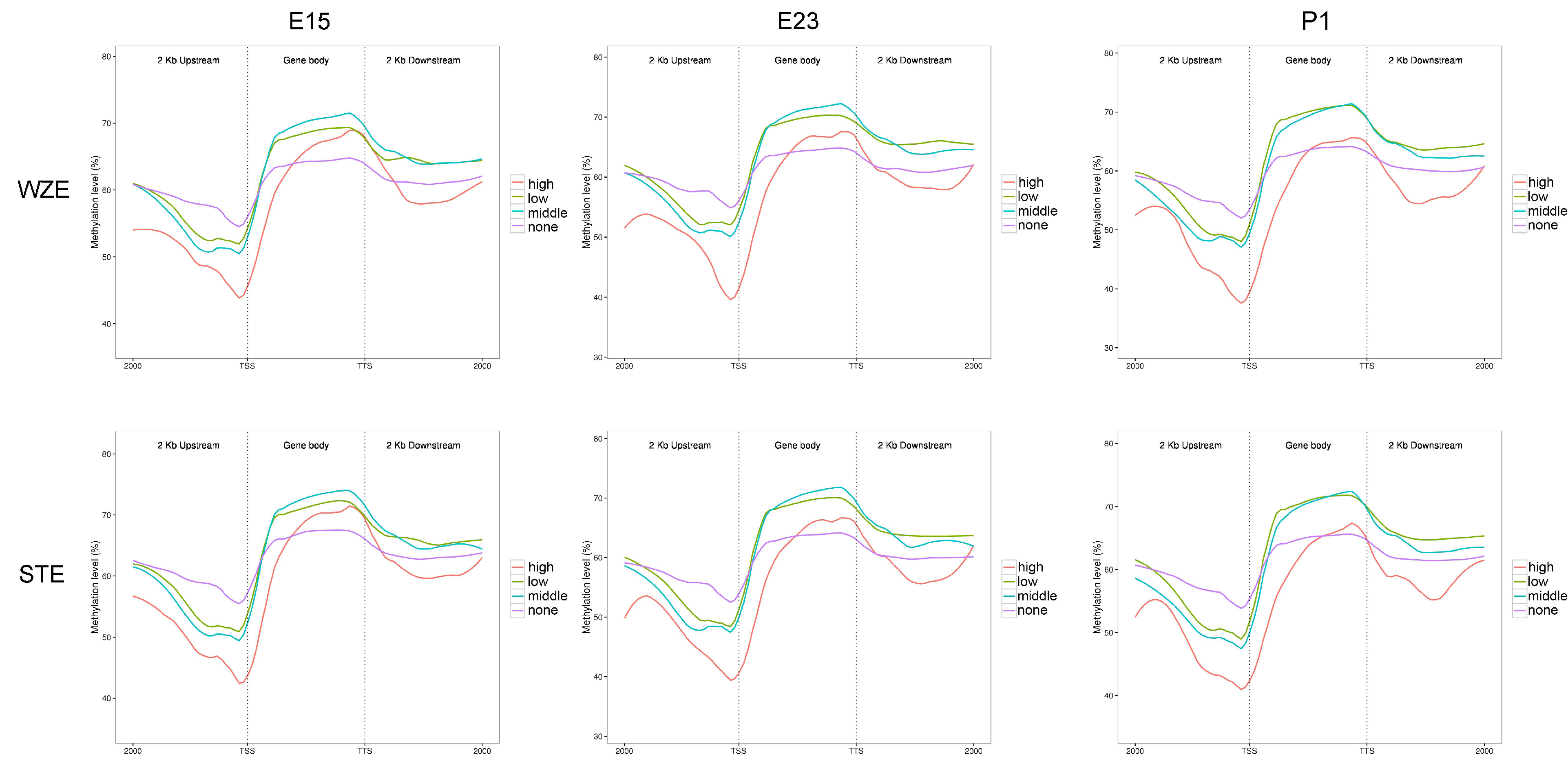 Ijms 24 07188 g003 Ijms 24 07188 g003