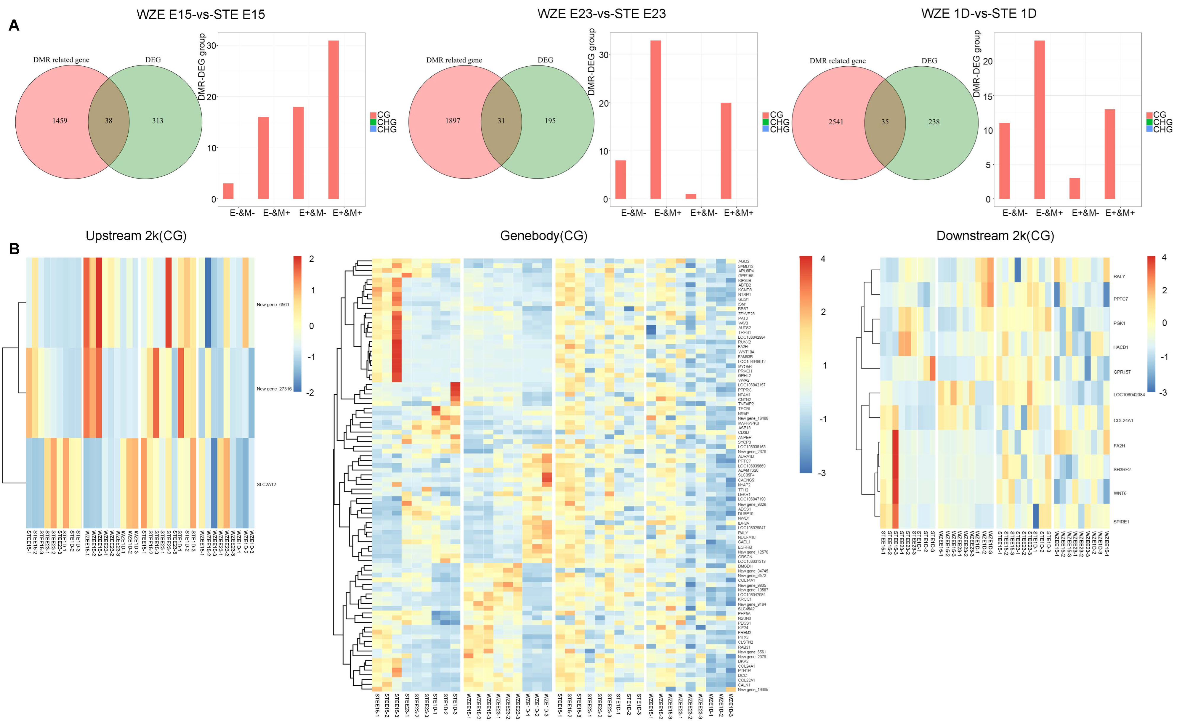 Ijms 24 07188 g004 Ijms 24 07188 g004