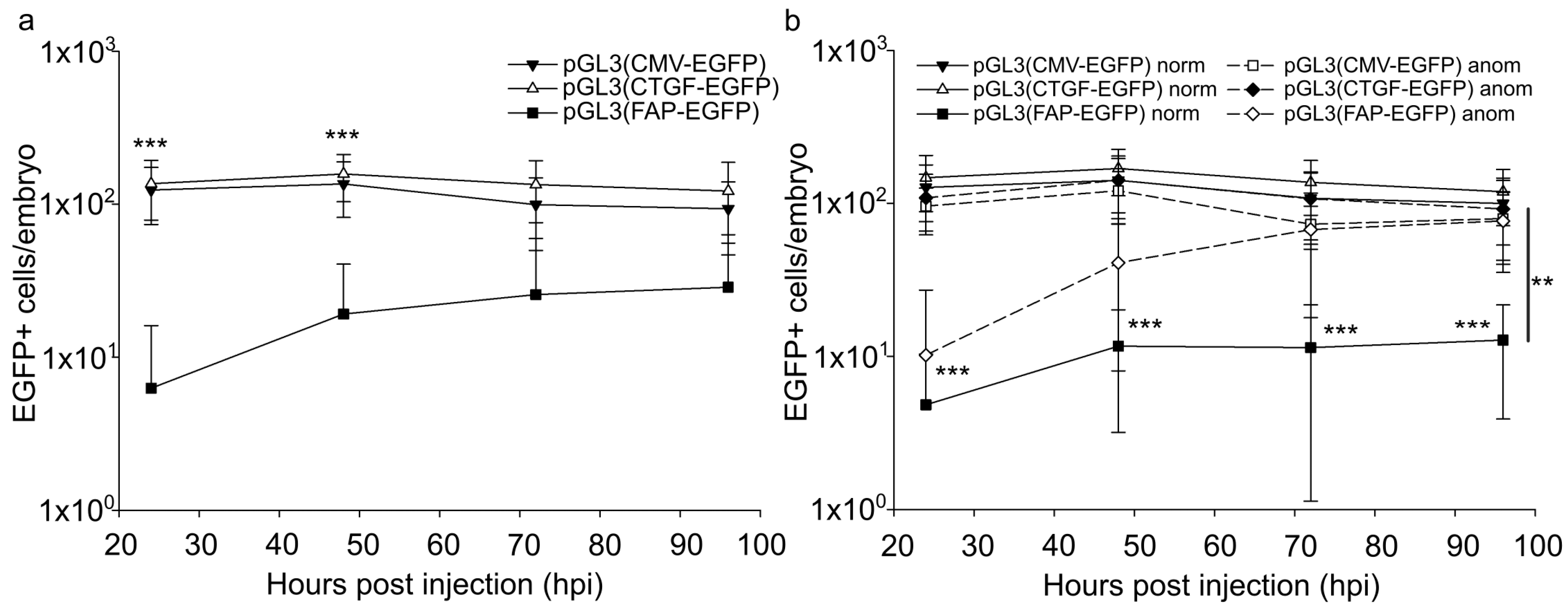 Ijms 24 07192 g003 Ijms 24 07192 g003