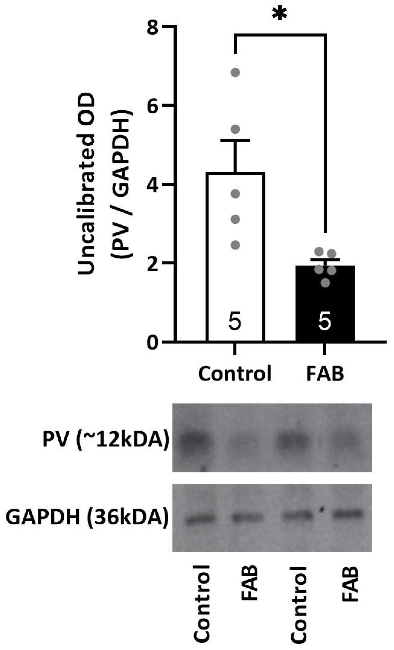 Ijms 24 07196 g004 Ijms 24 07196 g004