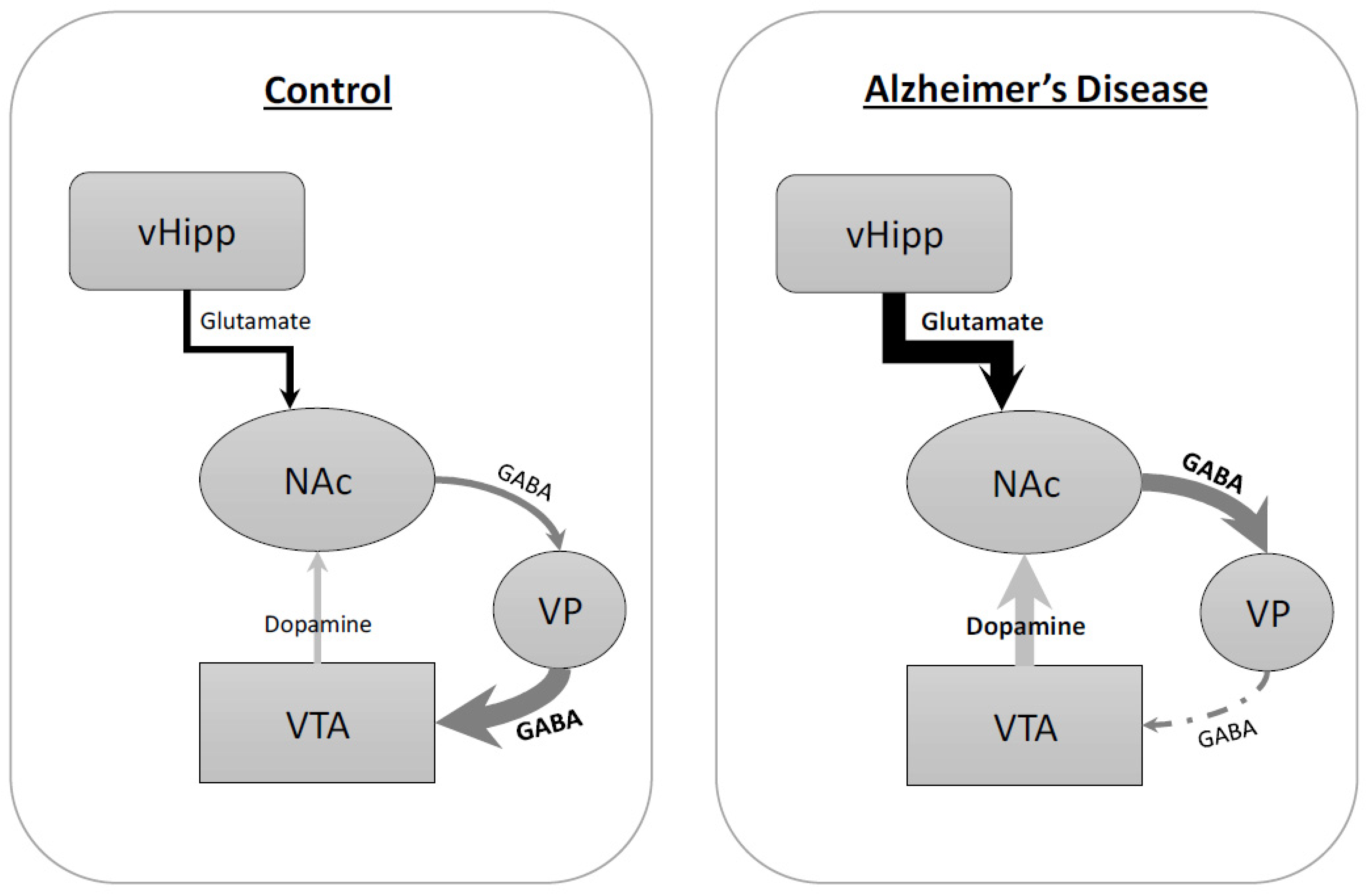 Ijms 24 07196 g005 Ijms 24 07196 g005