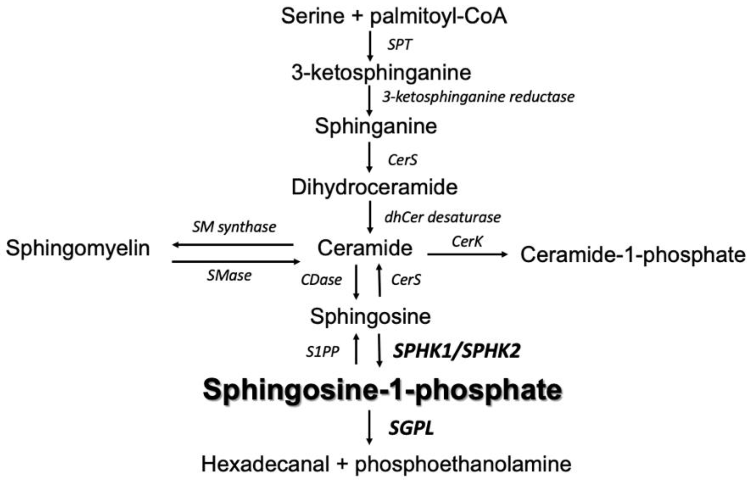 Ijms 24 07197 g001 Ijms 24 07197 g001