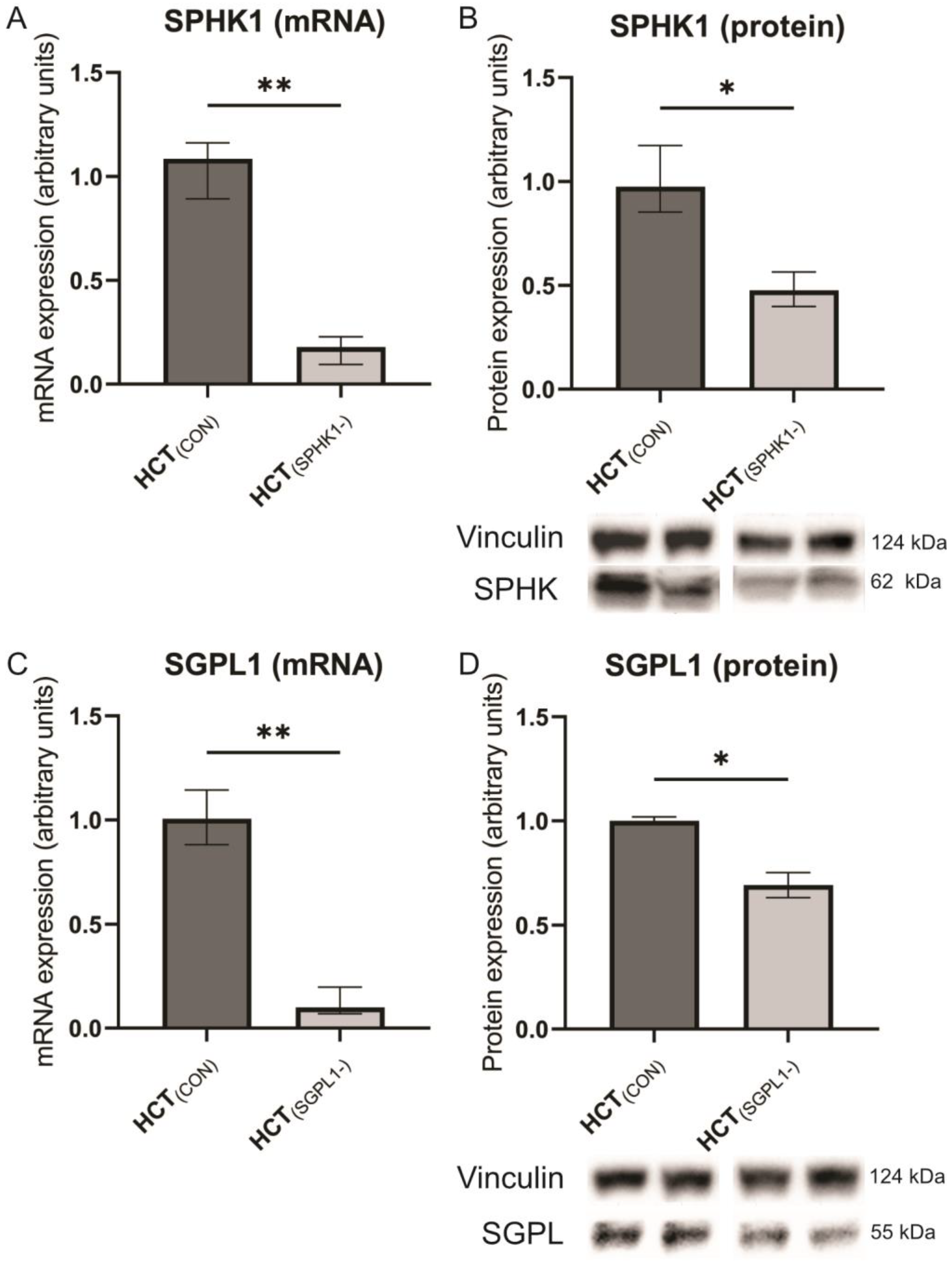 Ijms 24 07197 g002 Ijms 24 07197 g002