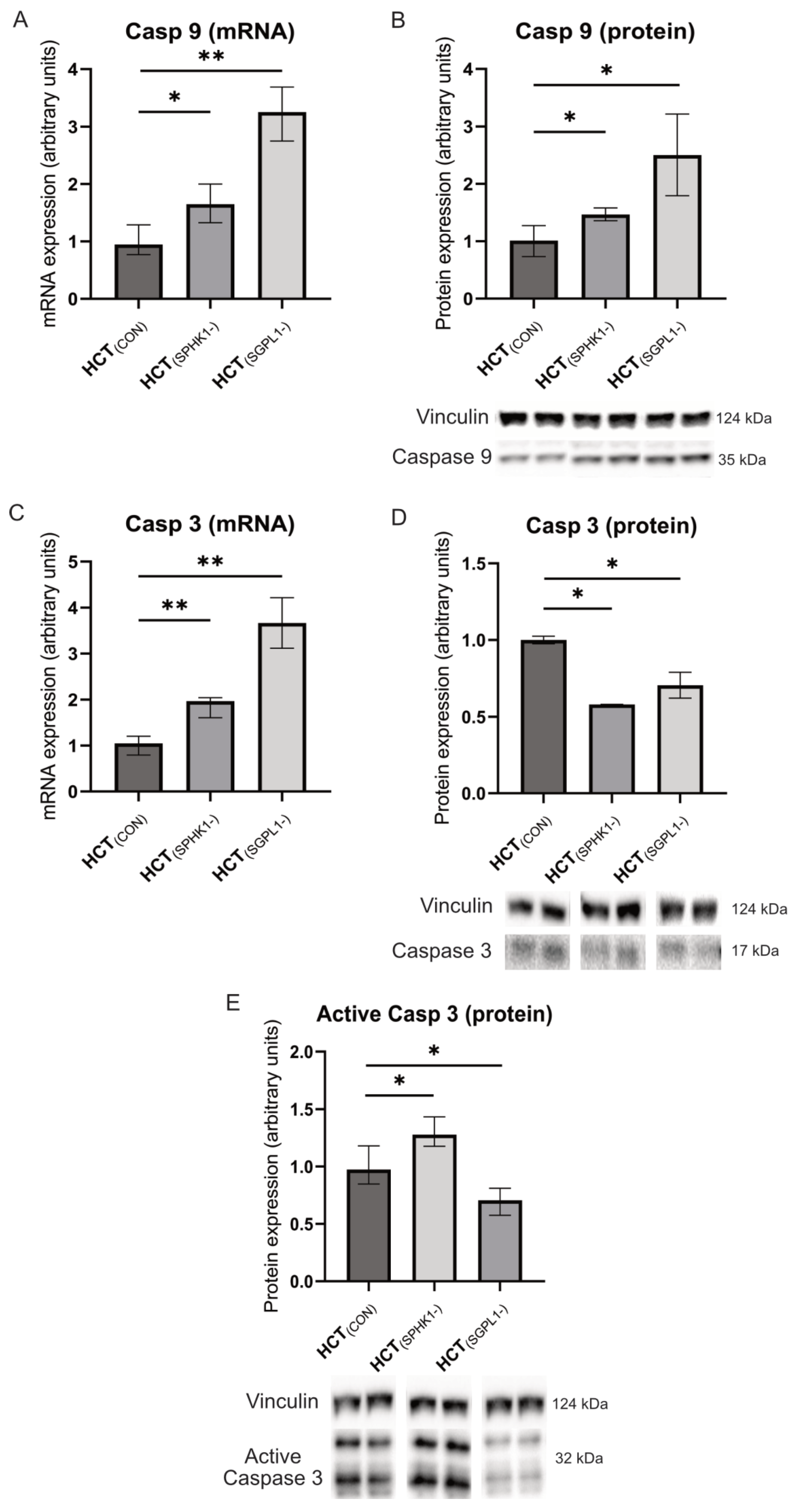 Ijms 24 07197 g004a Ijms 24 07197 g004a