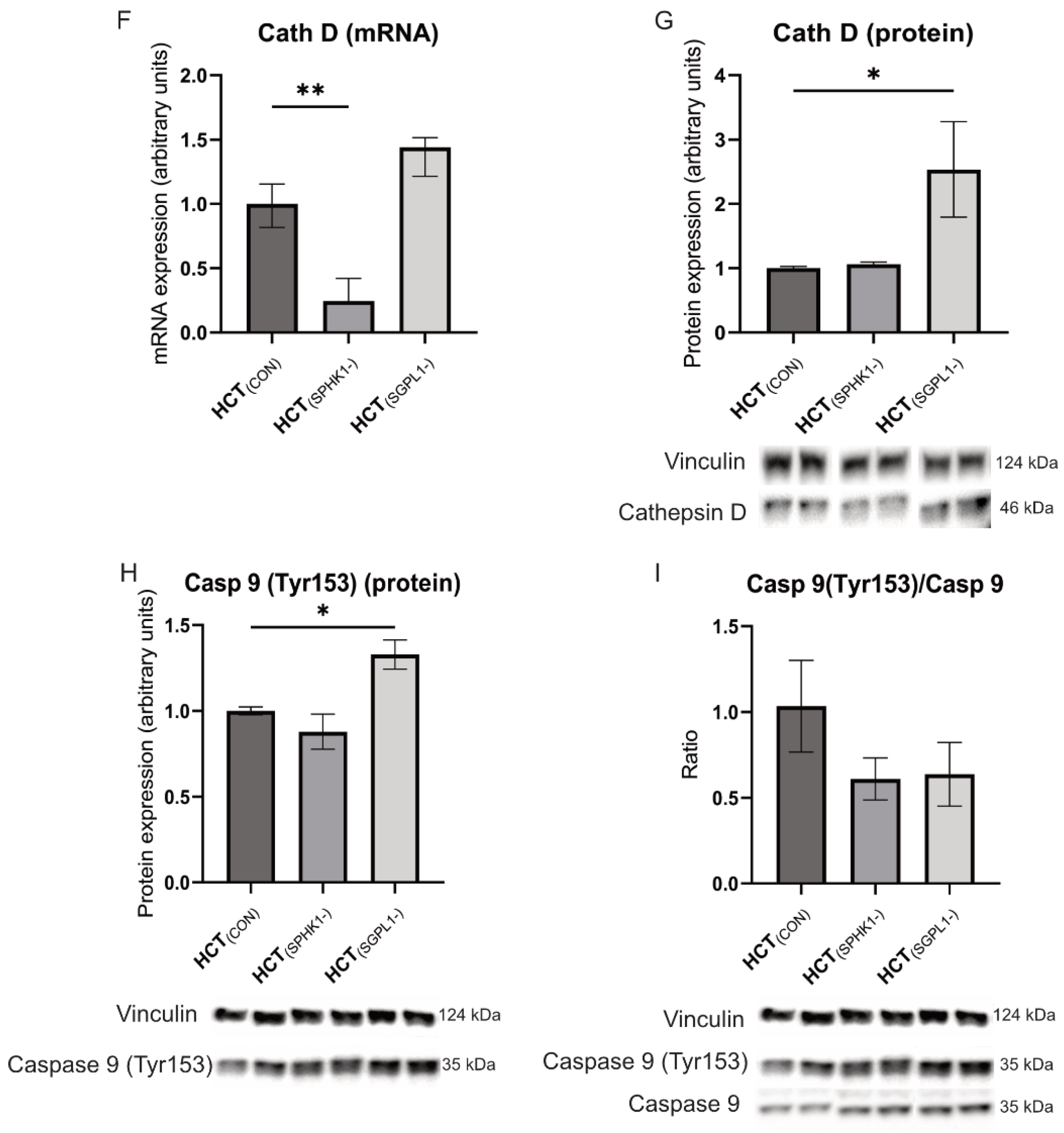 Ijms 24 07197 g004b Ijms 24 07197 g004b